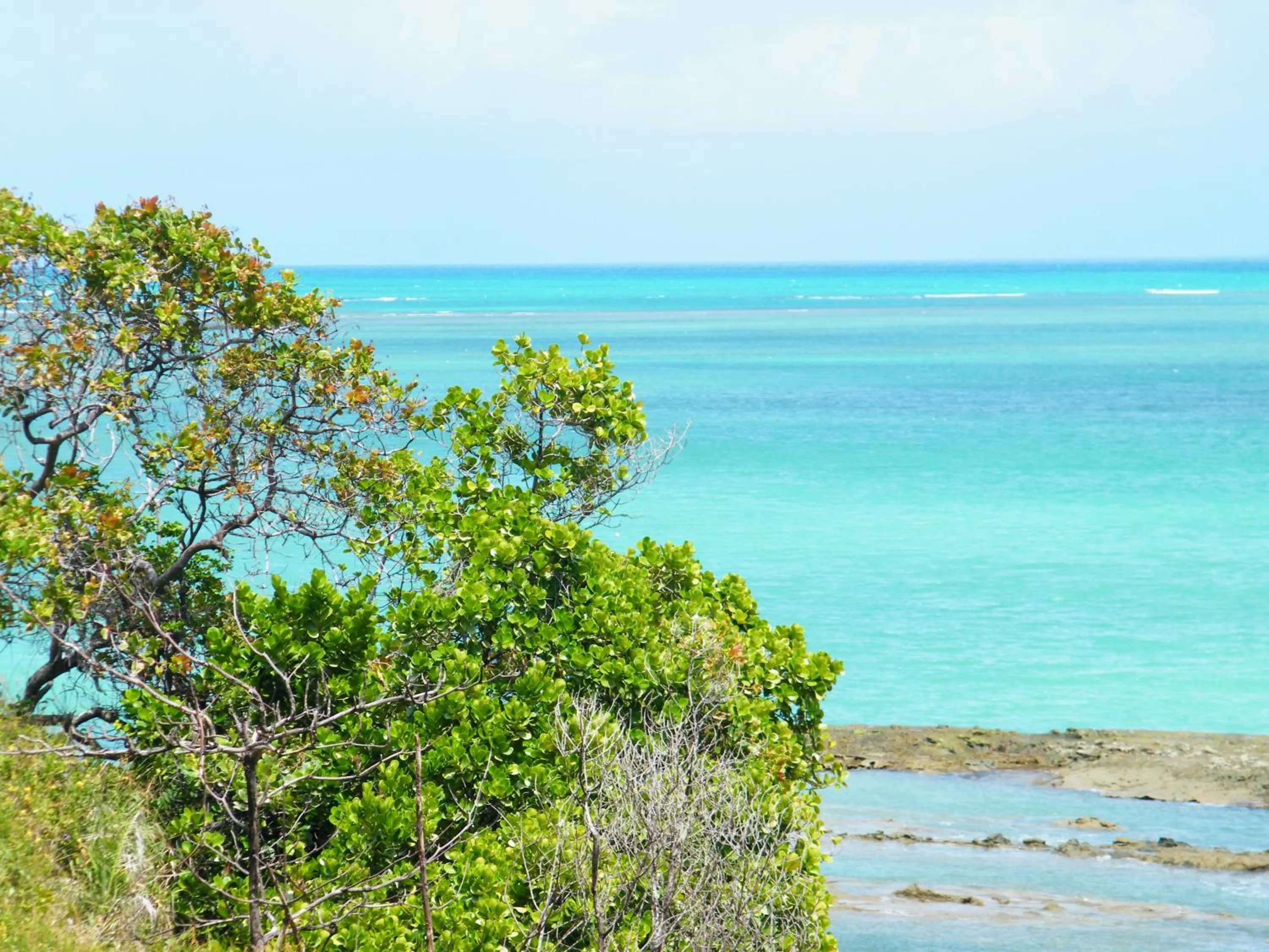 Nearby landmark in Igarakuê Flat