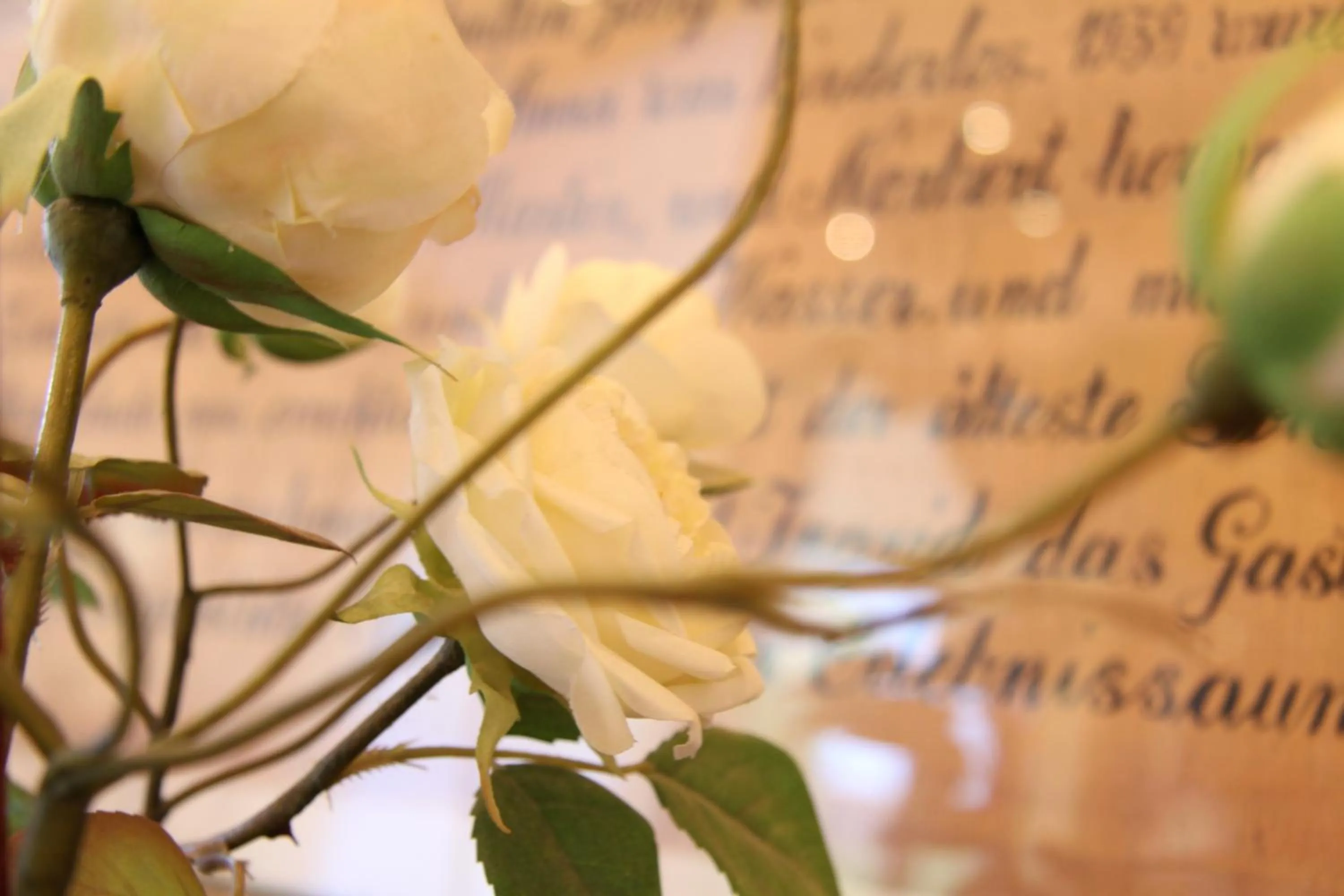 Other in Hotel Grünauerhof