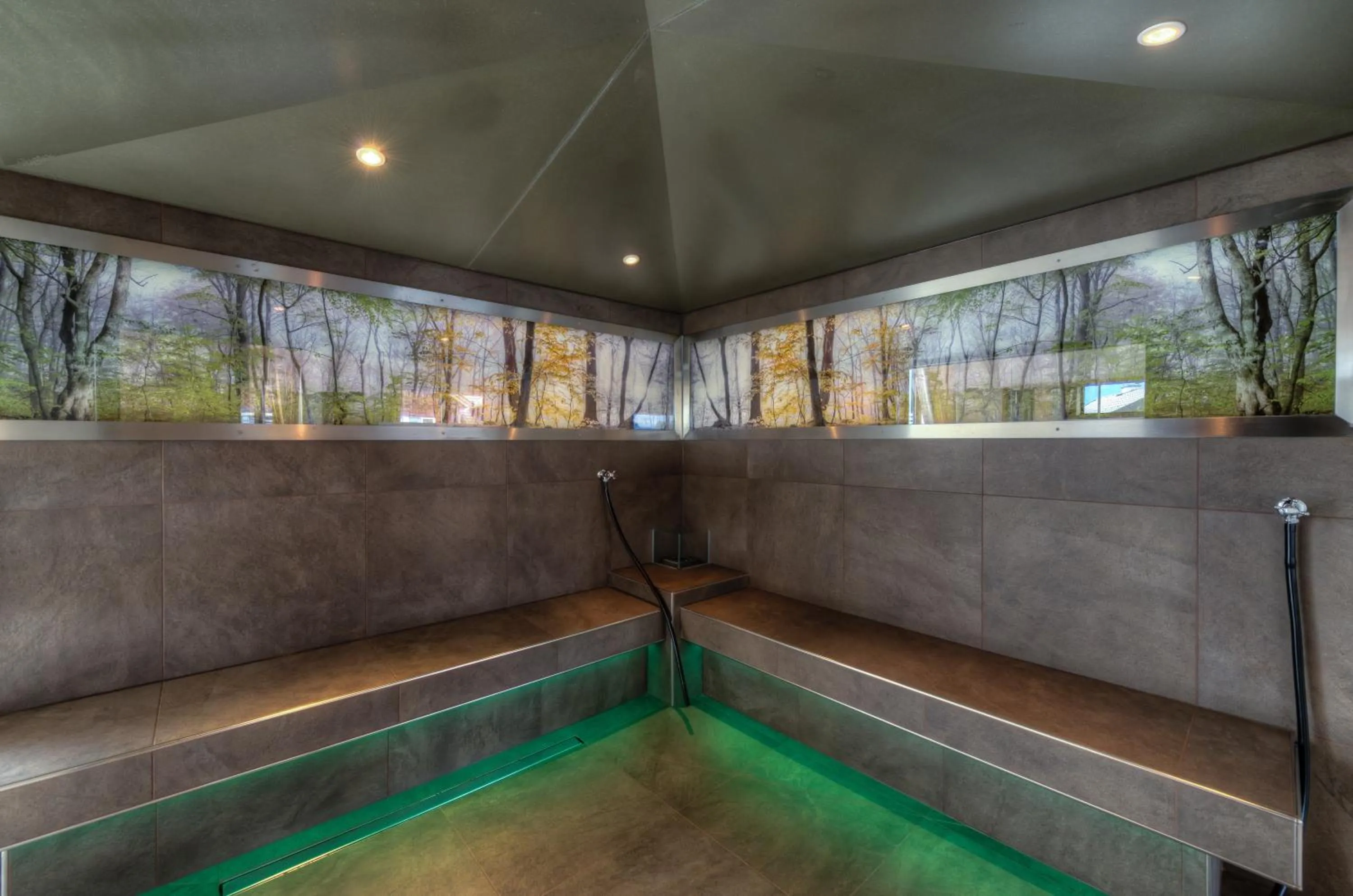 Spa and wellness centre/facilities in Hotel Grünauerhof