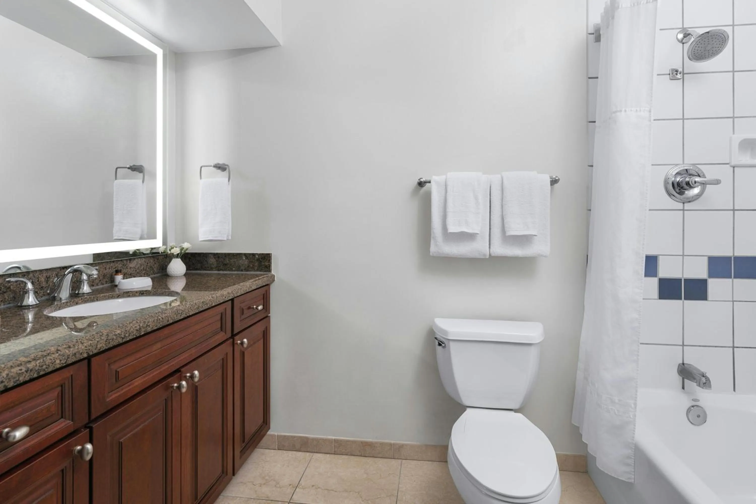 Bathroom in Marriott's Manor Club at Ford's Colony