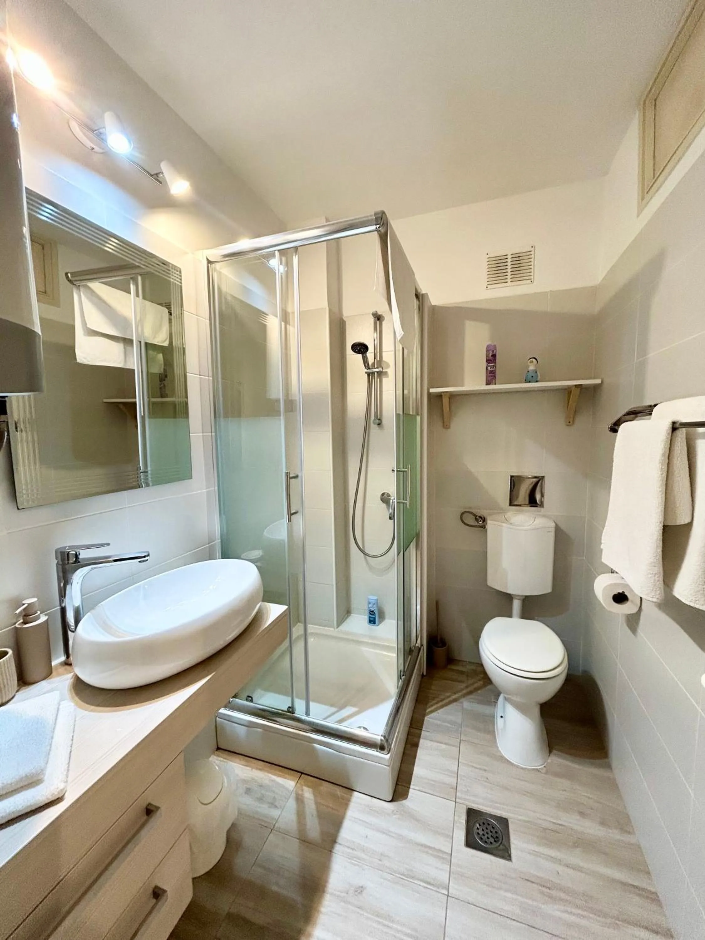 Shower in Apartment Ravkin