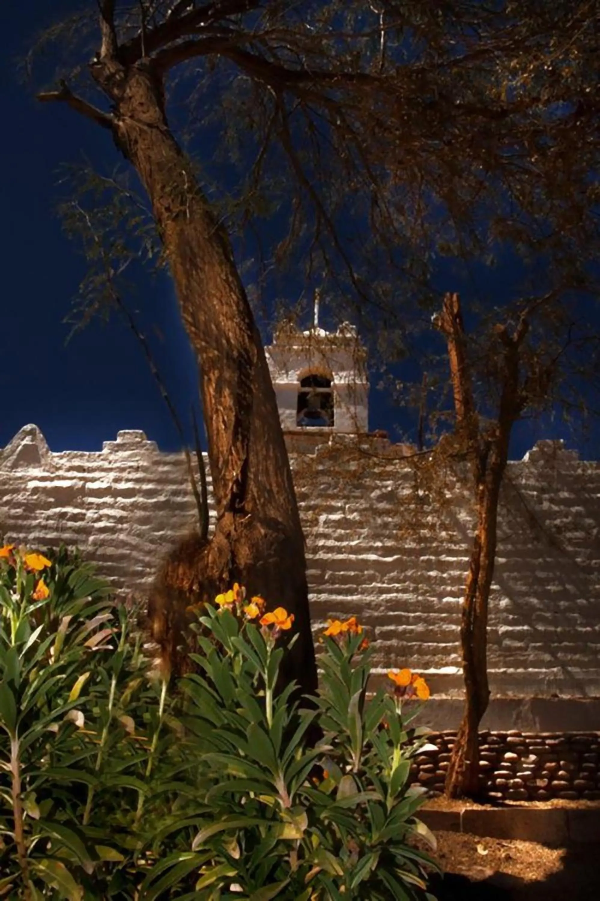 Garden view in Terrantai Lodge