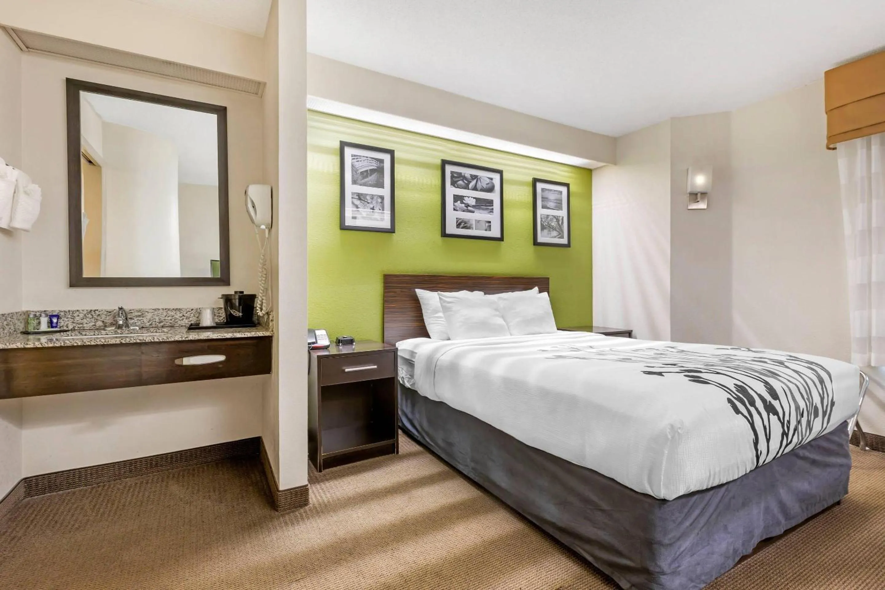 Bedroom, Bed in Sleep Inn at Greenville Convention Center