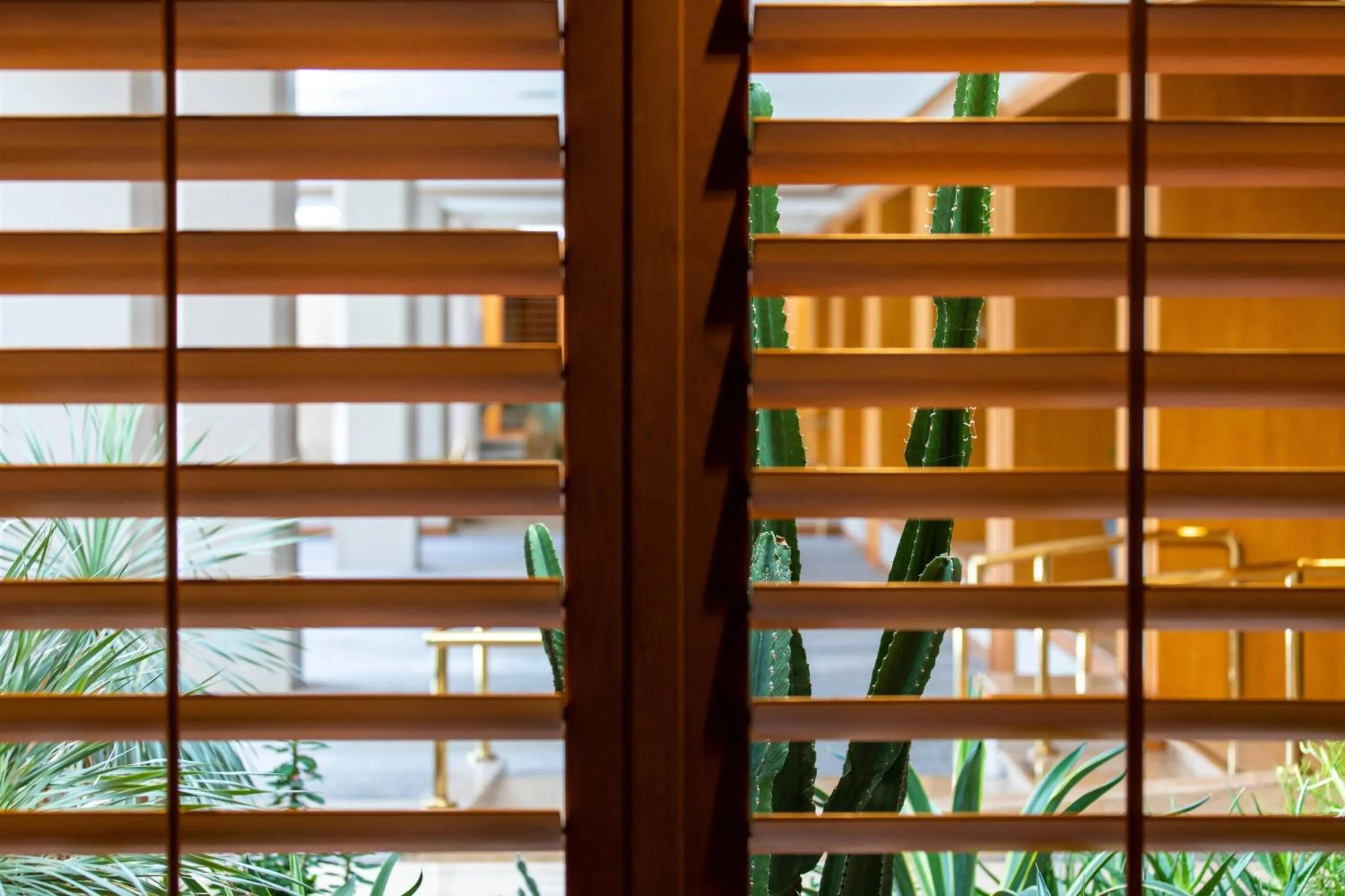 Other in Renaissance Esmeralda Resort & Spa, Indian Wells