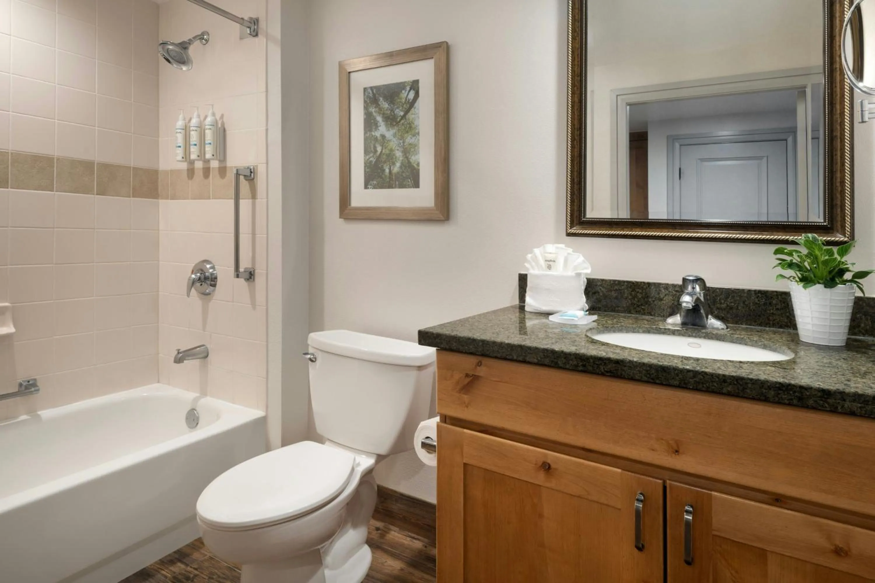 Bathroom in Marriott's Timber Lodge