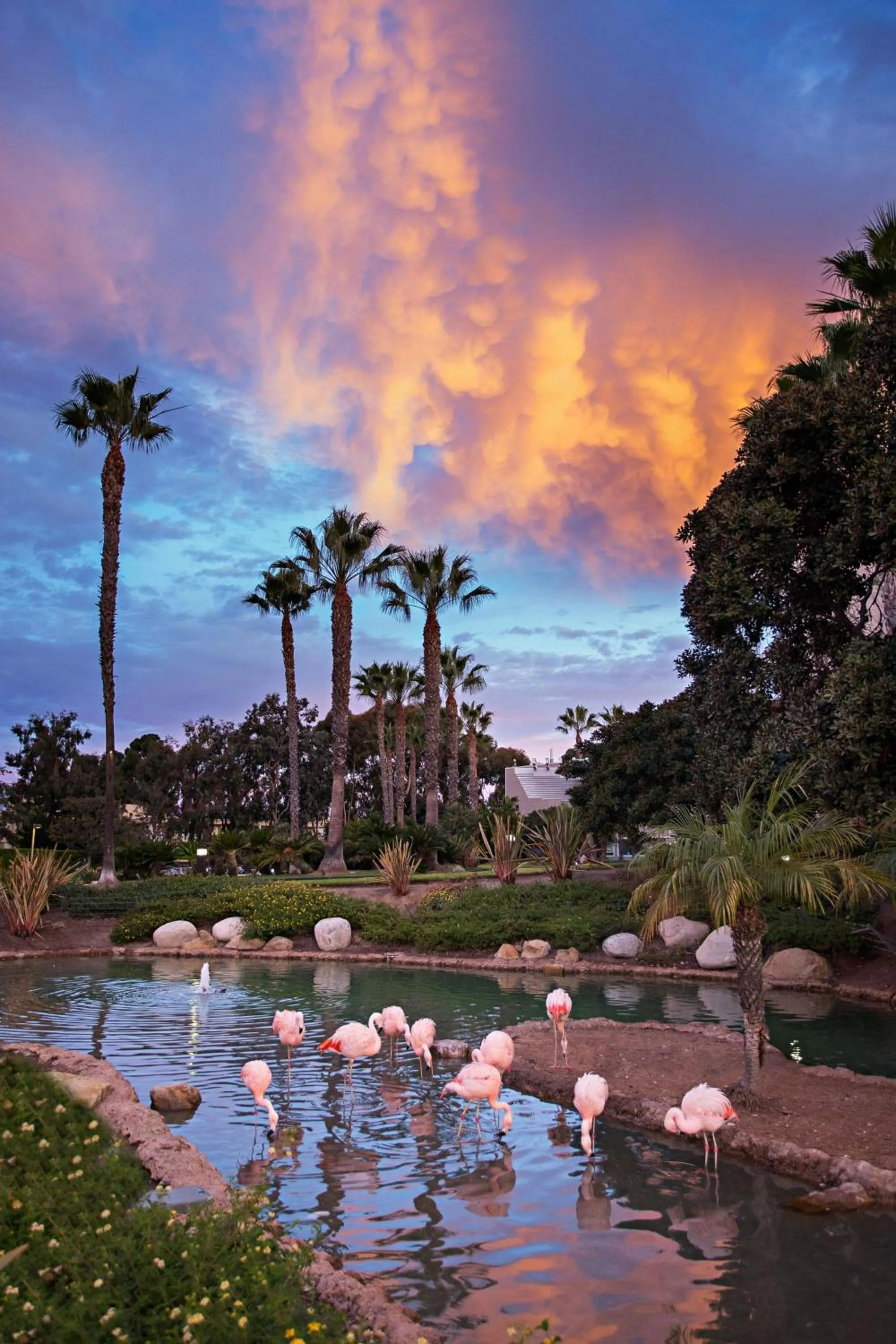 Other in Coronado Island Marriott Resort & Spa