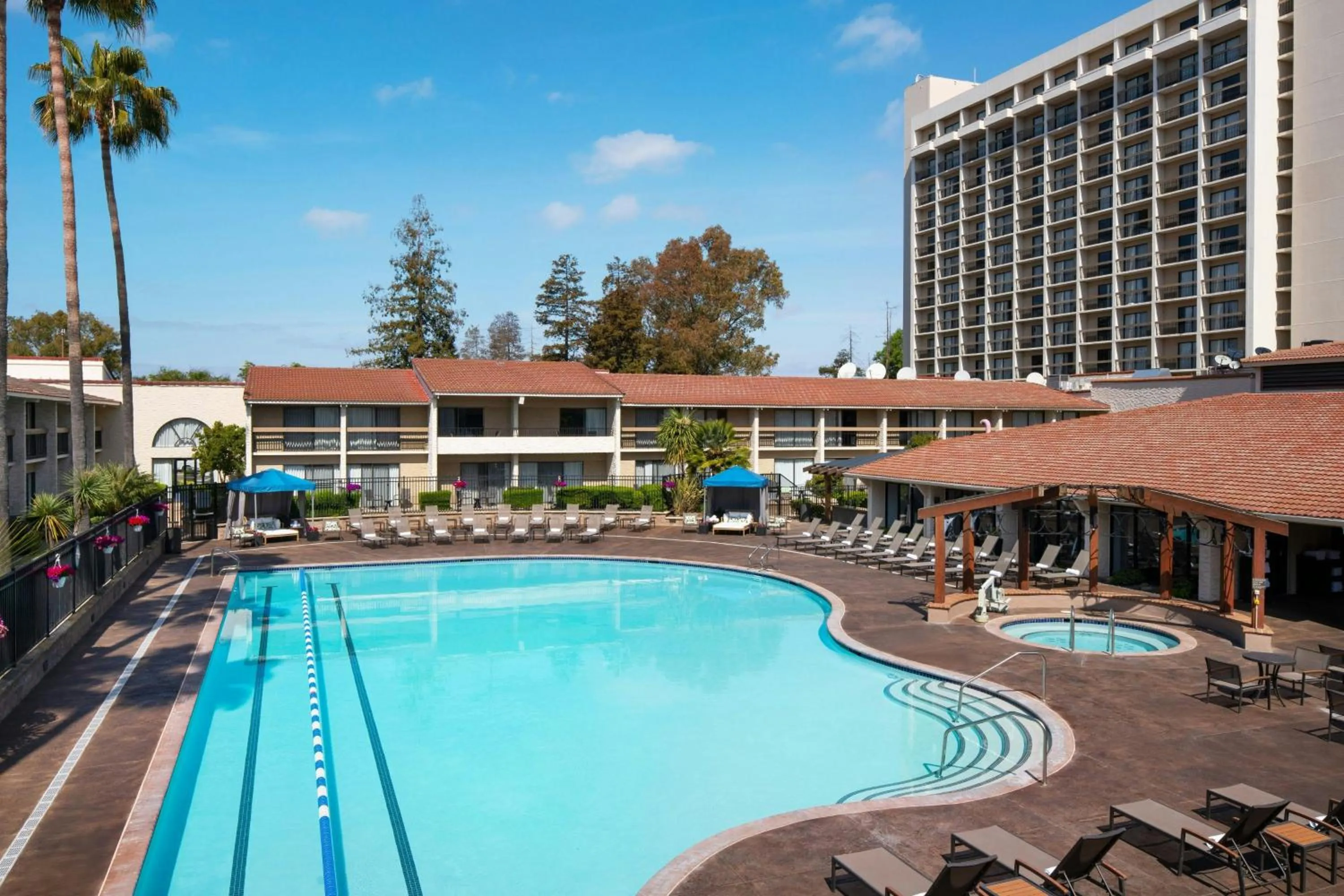 Swimming pool in Santa Clara Marriott