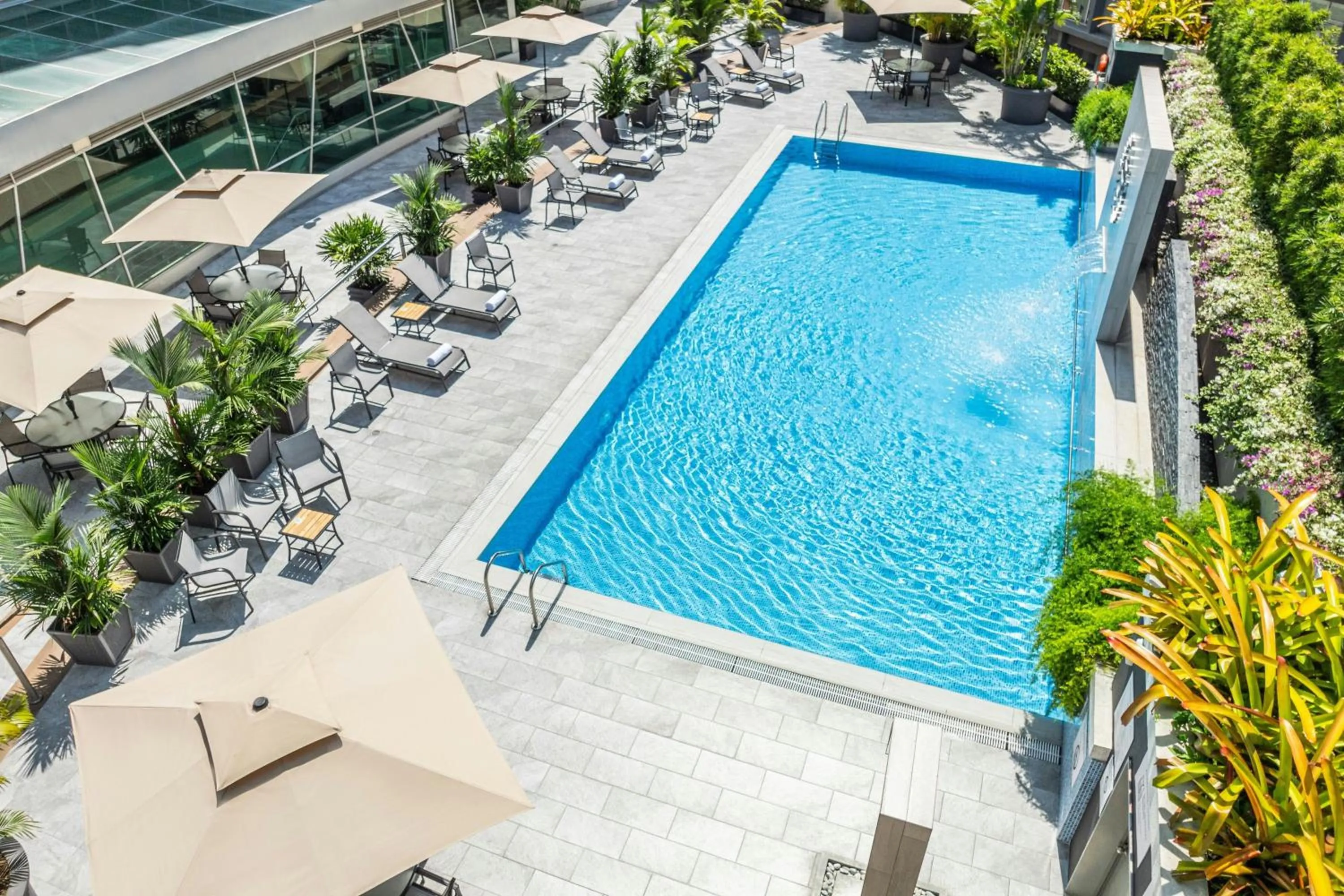 Swimming pool in Sheraton Guayaquil