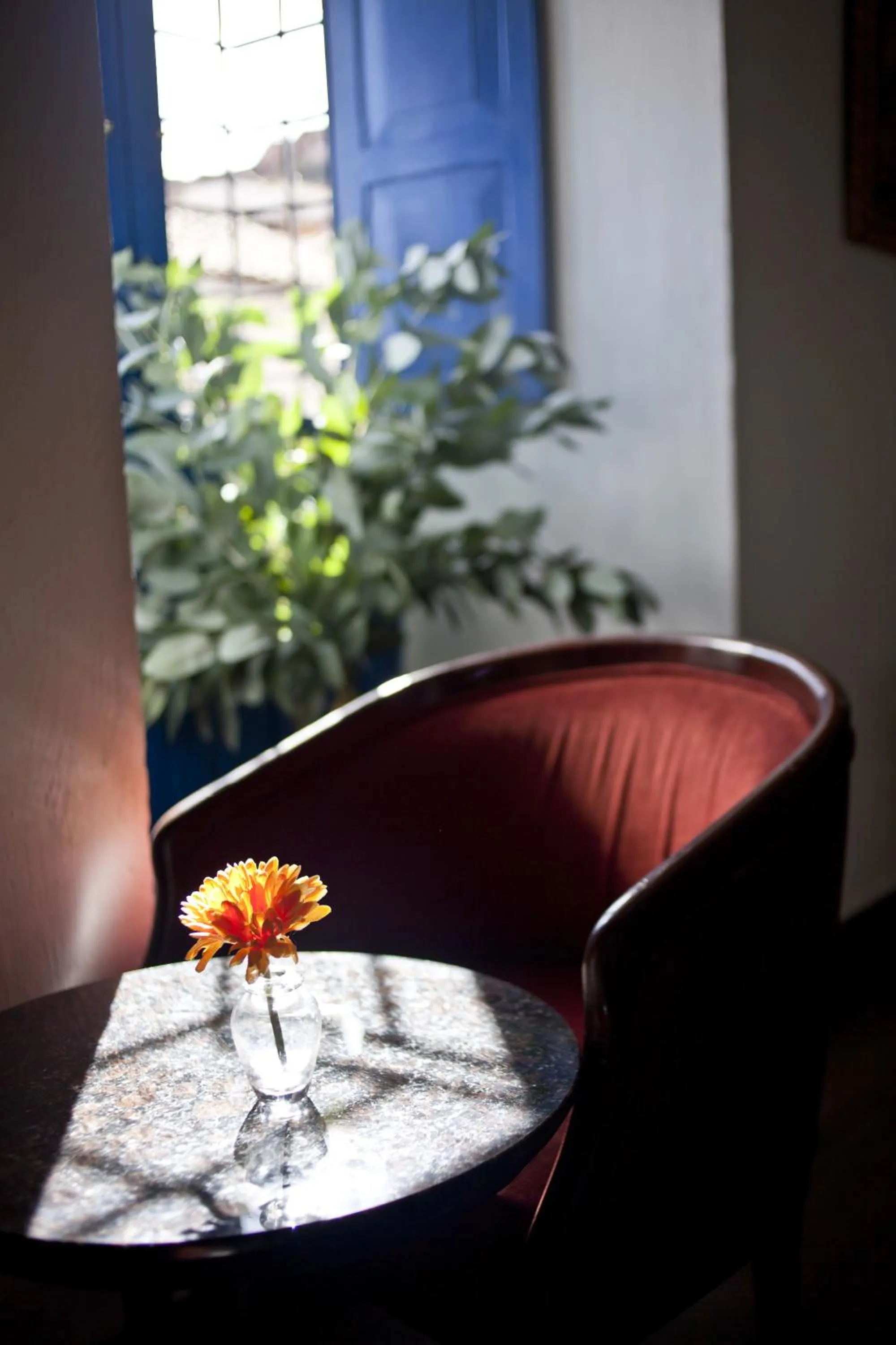 Lobby or reception in Tierra Viva Cusco Saphi Hotel