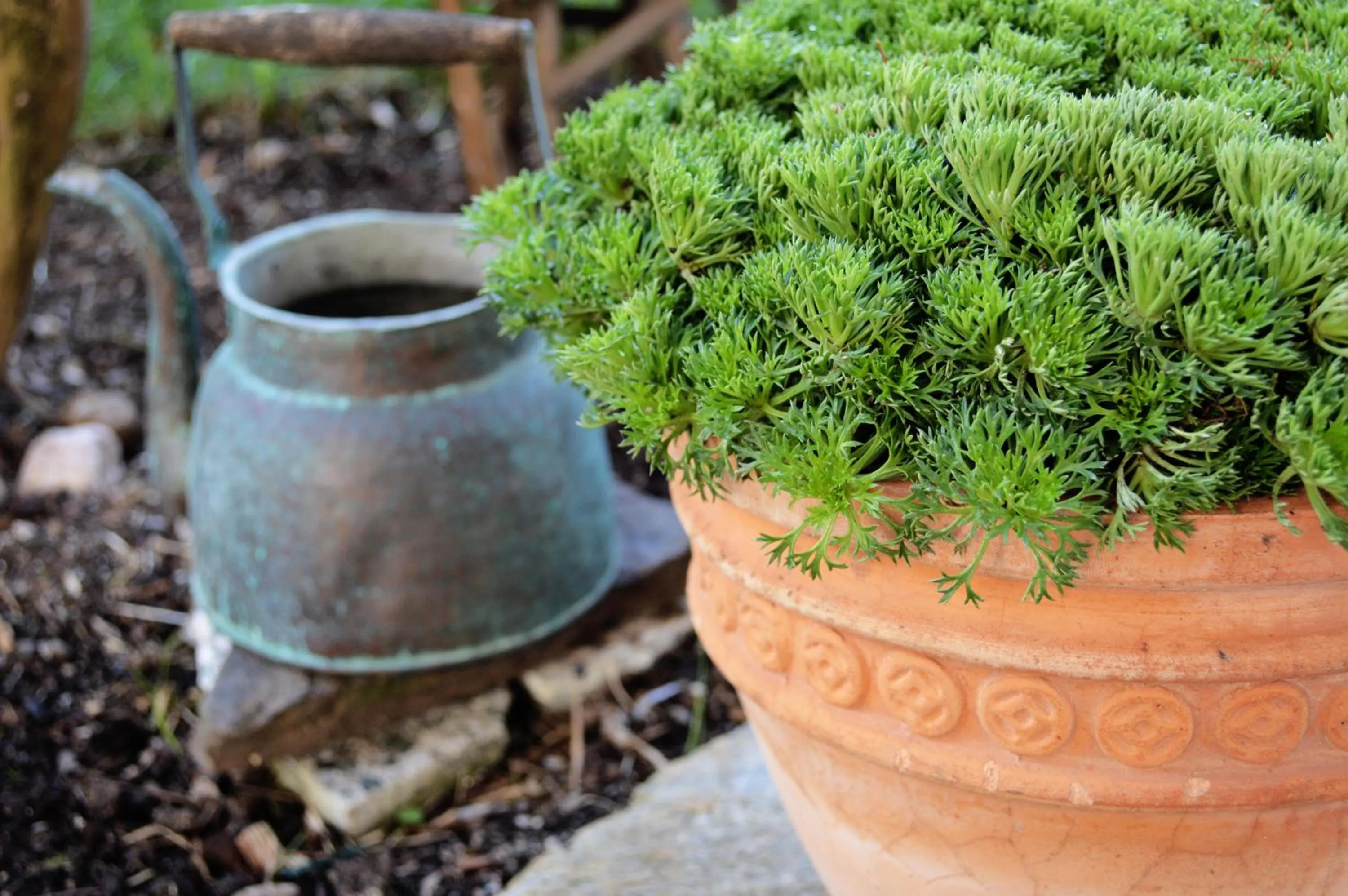 Garden in Hotel Aquamarin