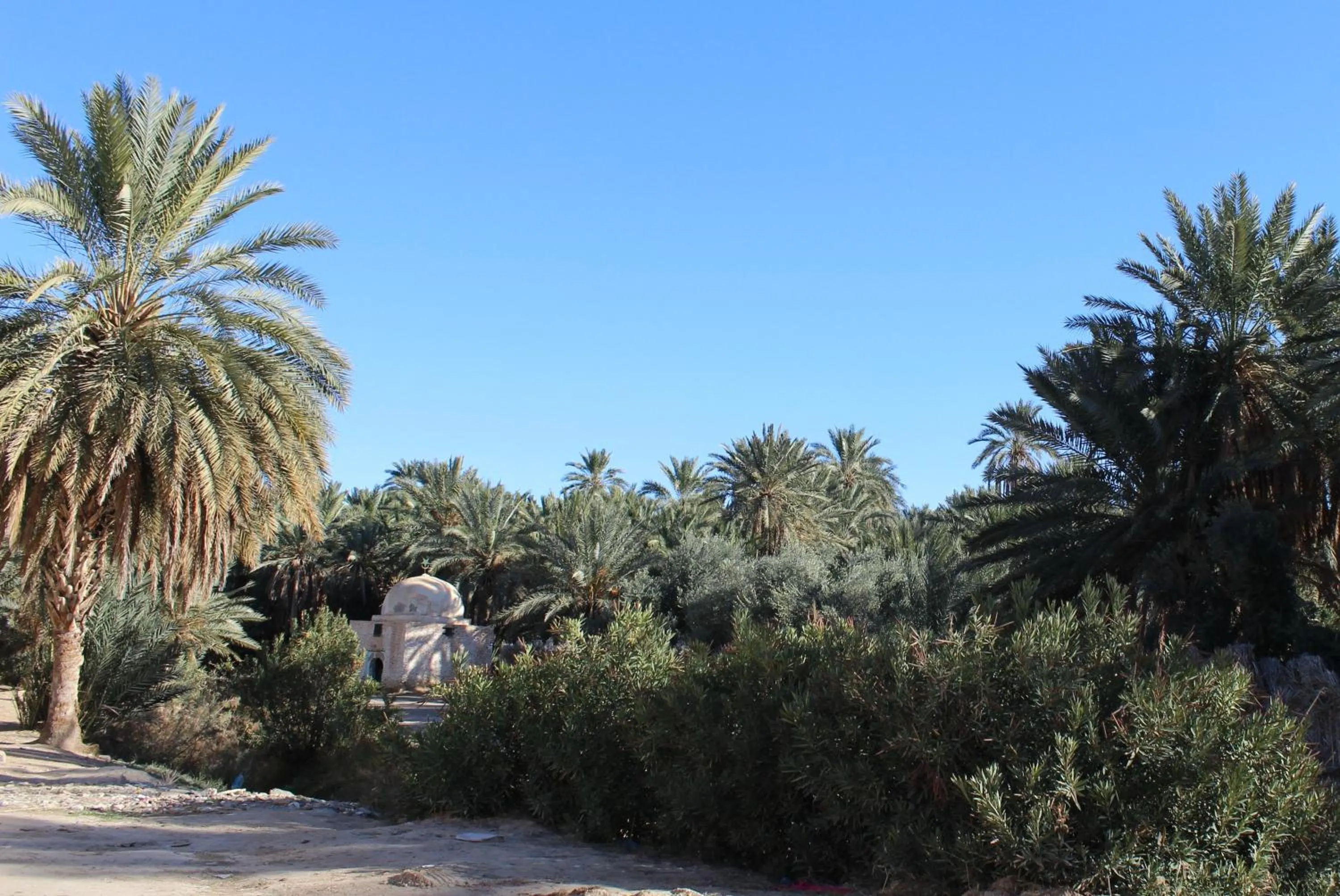 Natural landscape in Dar Saida Beya