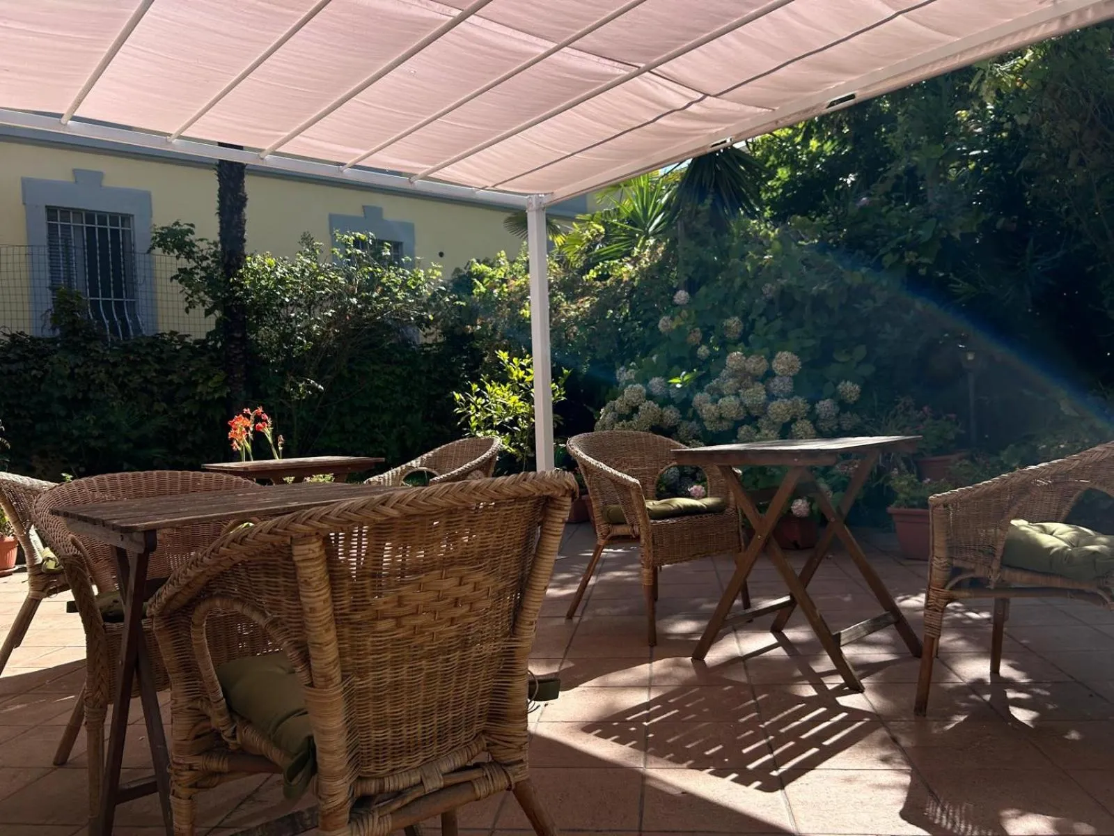 Garden in Albergo Salerno