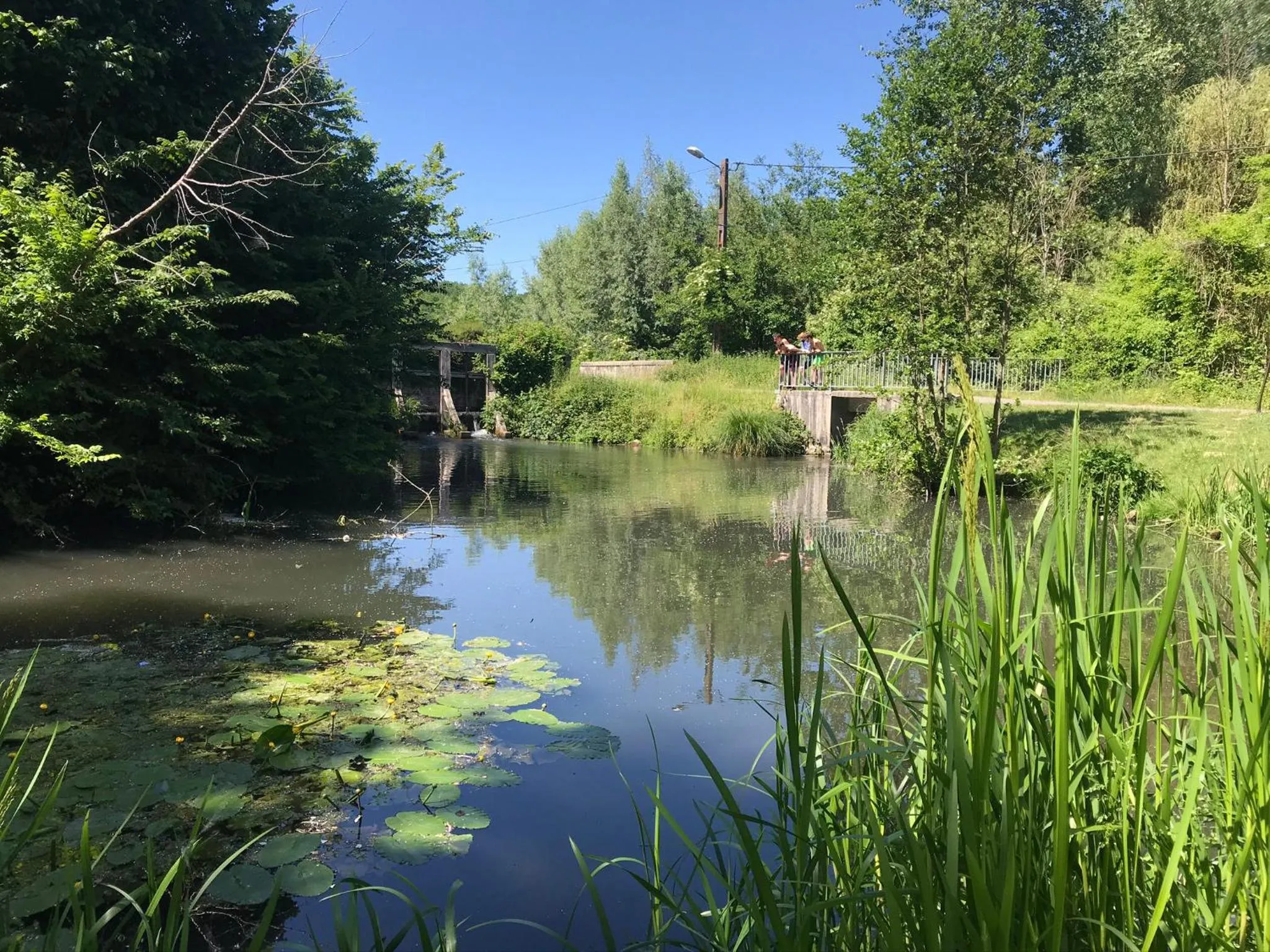 Chambre d'hôtes "COQUELICOT"