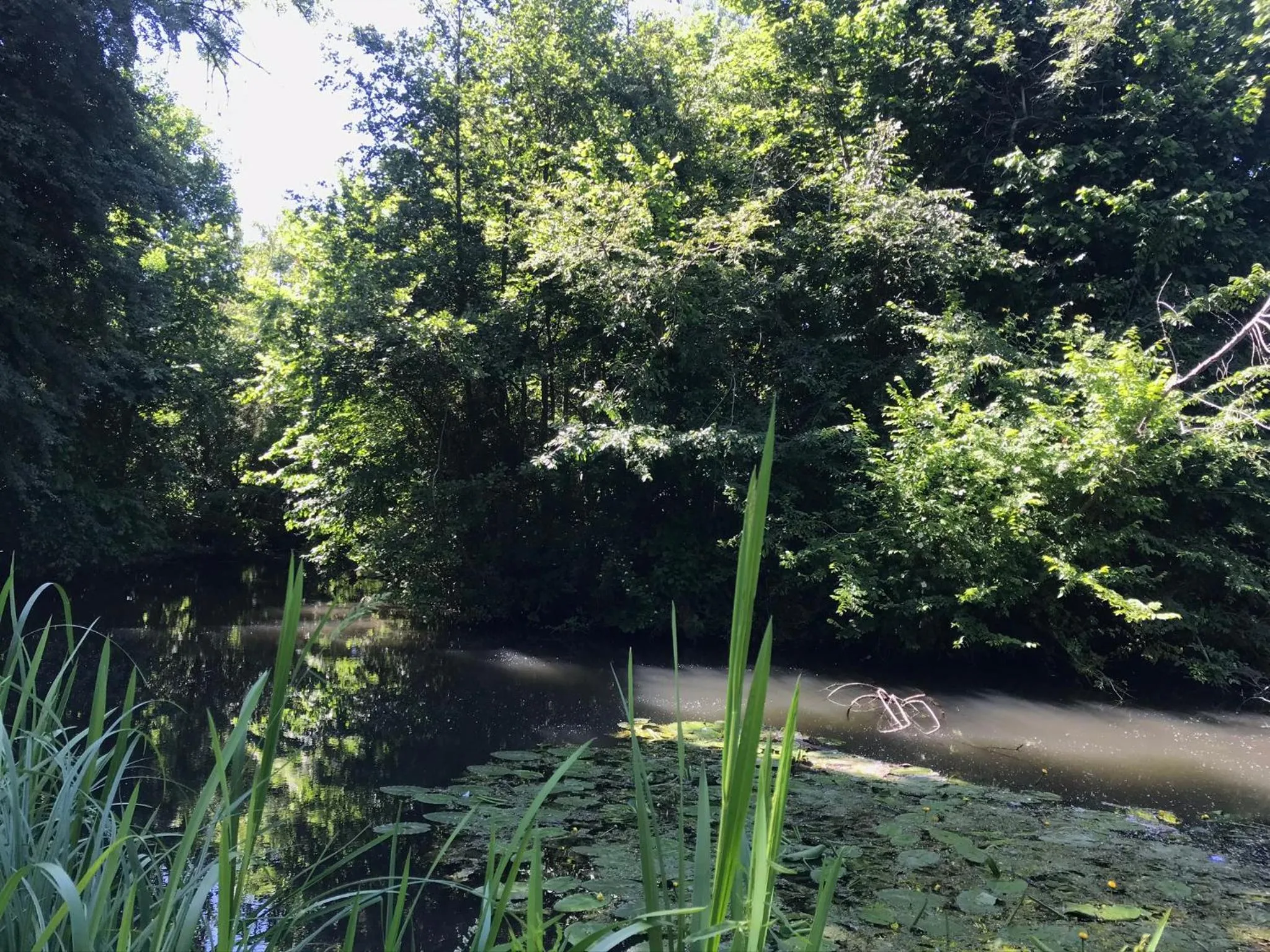 Chambre d'hôtes "COQUELICOT"
