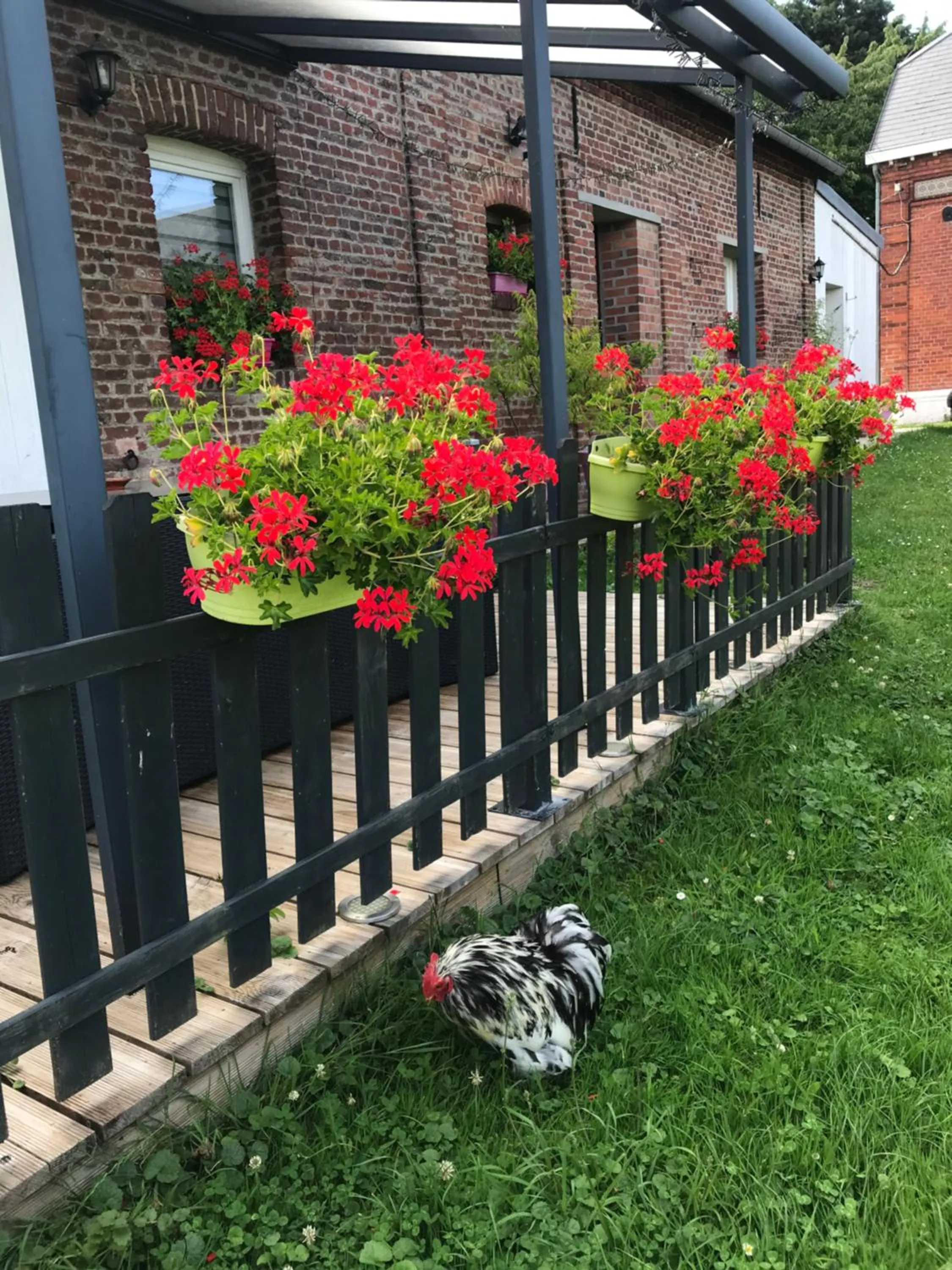 Chambre d'hôtes "COQUELICOT"