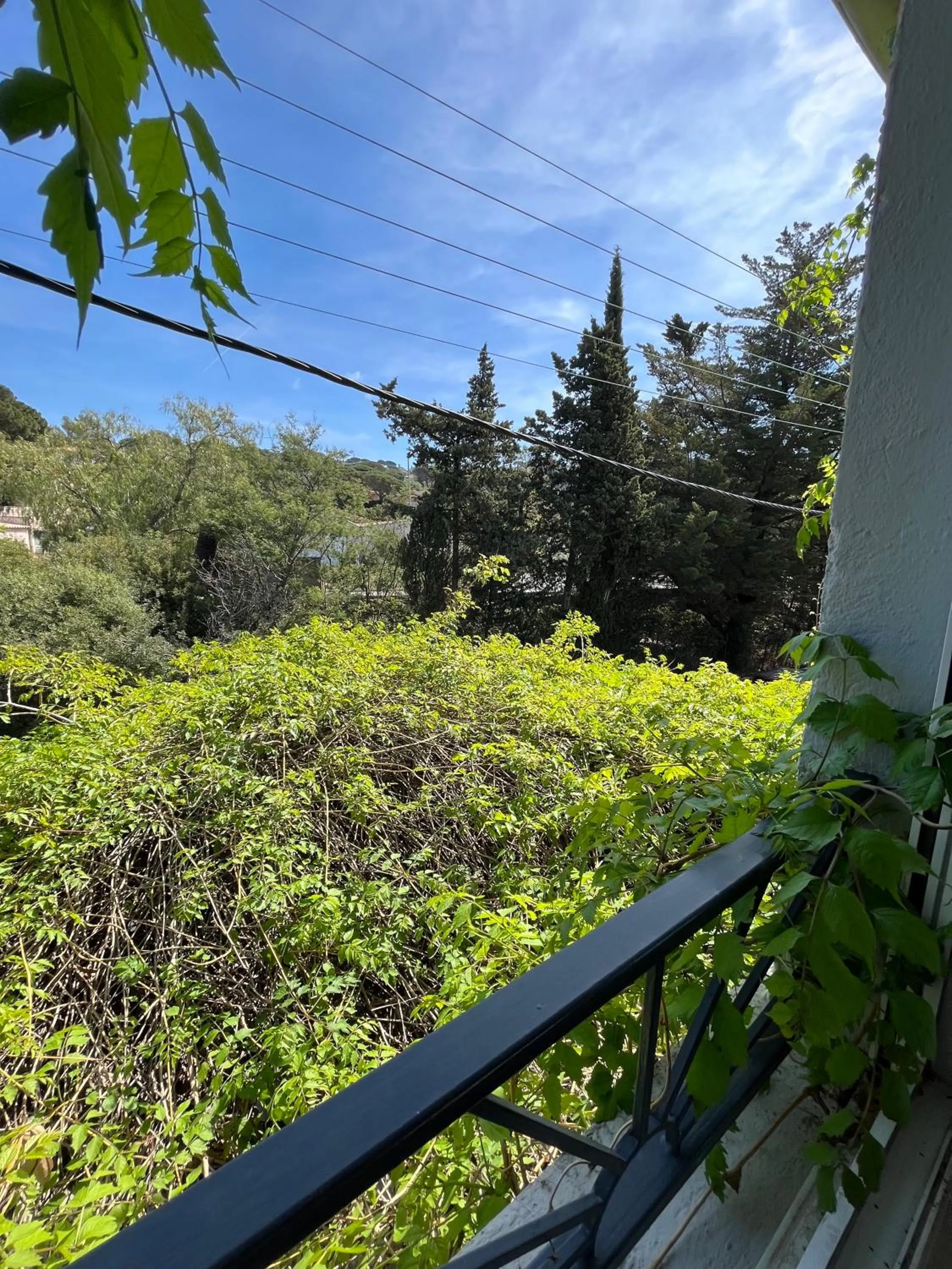 View (from property/room) in Hotel Princesse D'Azur