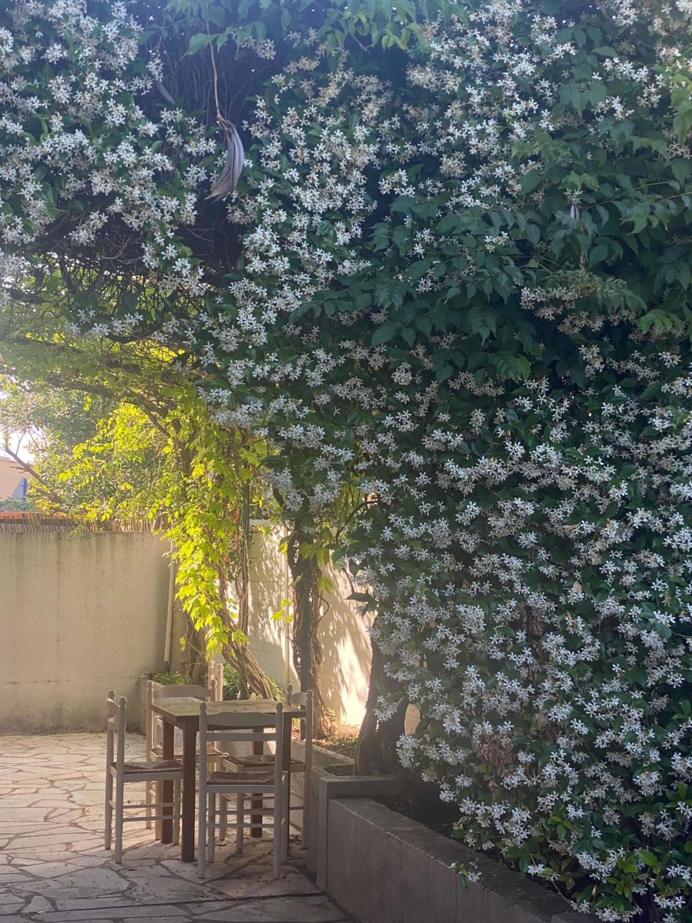 Balcony/Terrace in Hotel Princesse D'Azur