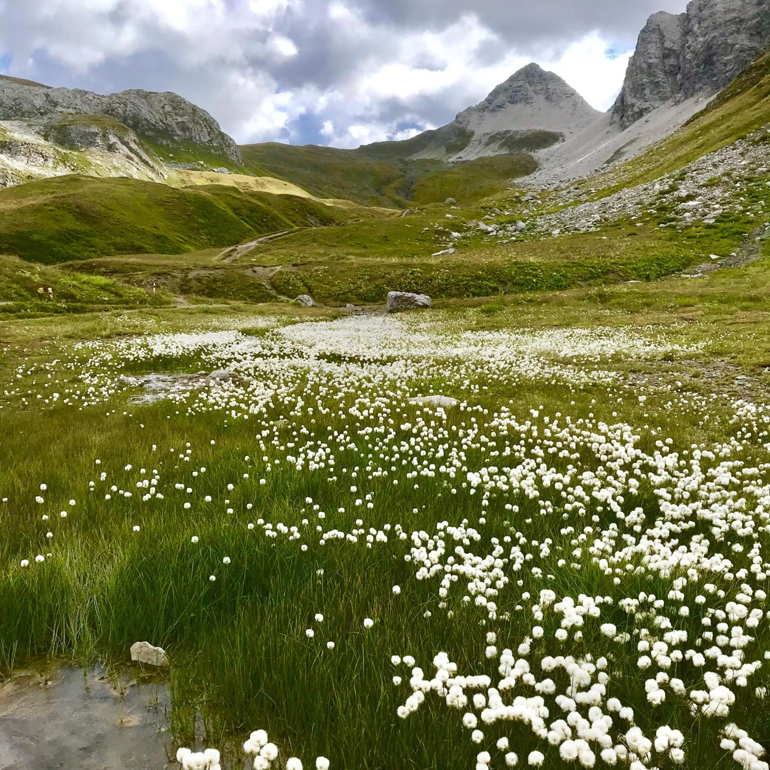 Natural landscape in Kristiania Lech