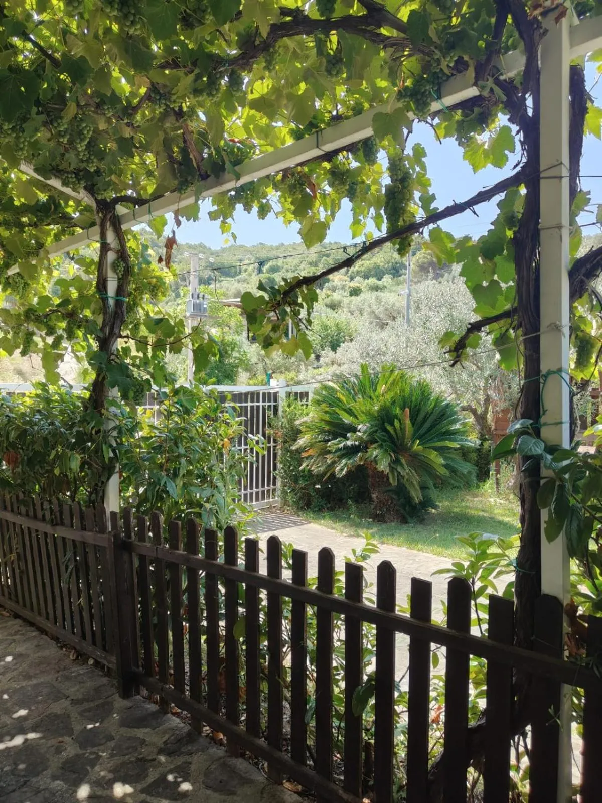 Garden in That's Amore Cilento Country House