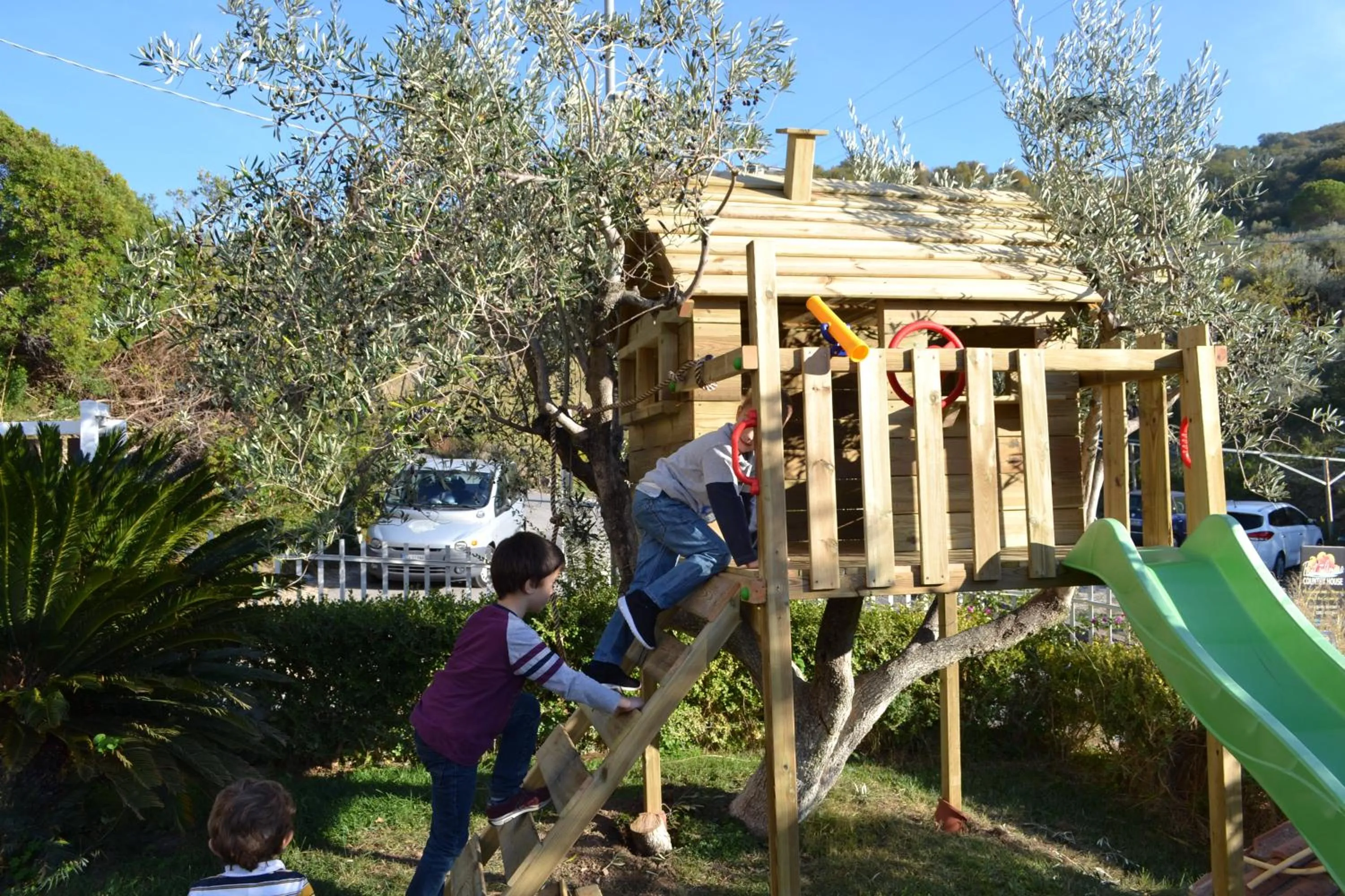 Activities in That's Amore Cilento Country House