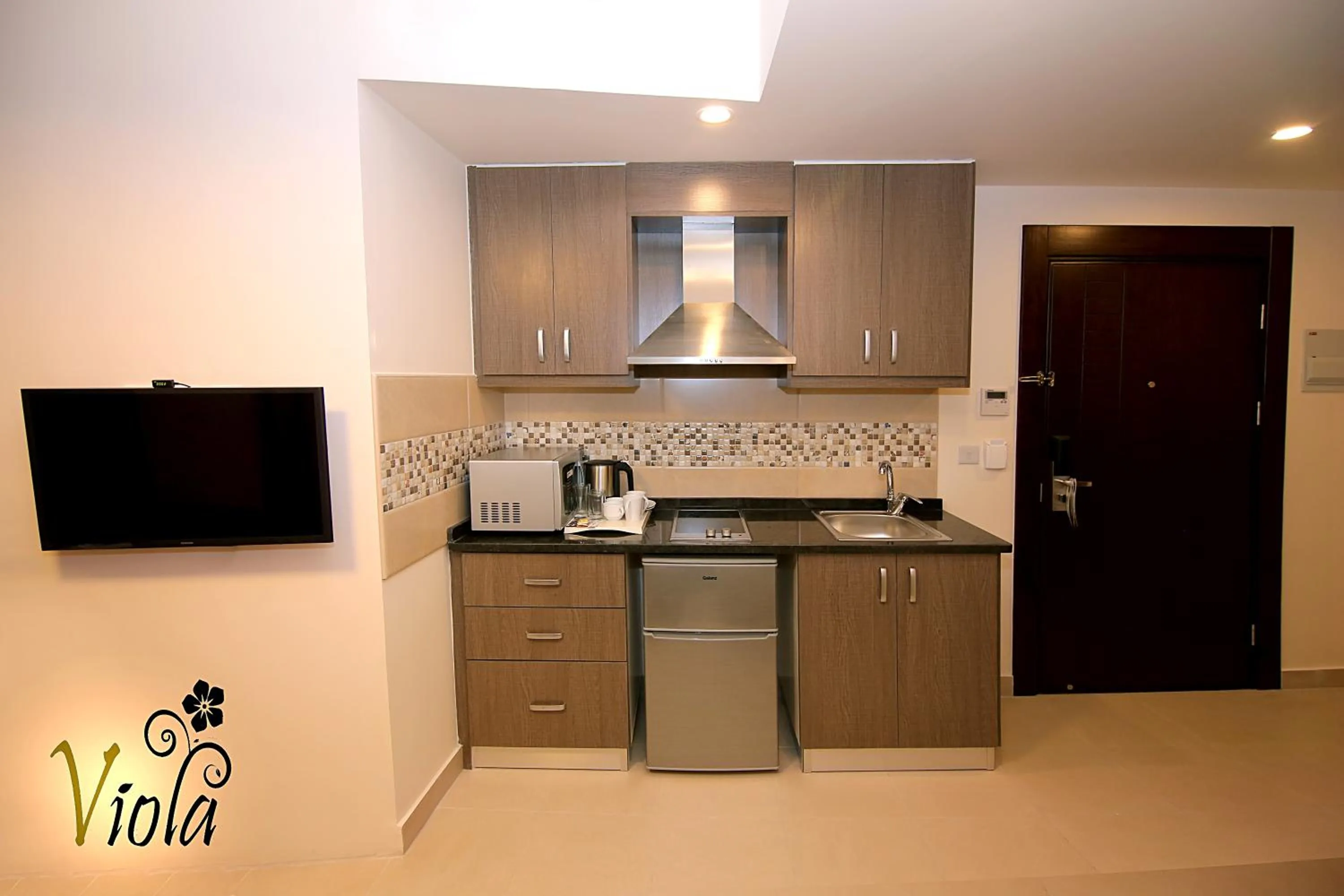 Kitchen or kitchenette in Viola Hotel Suites
