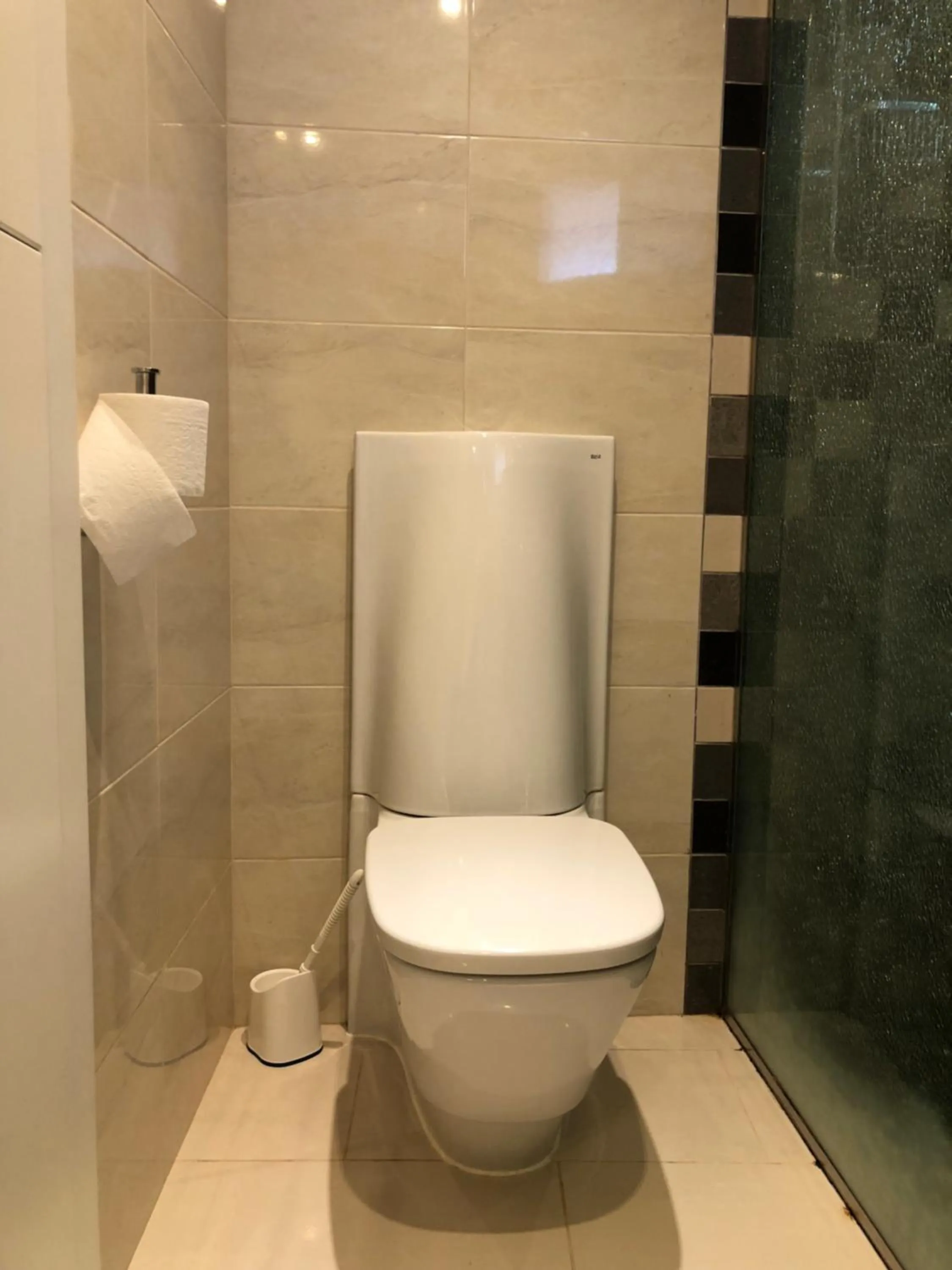 Toilet in Los Geranios