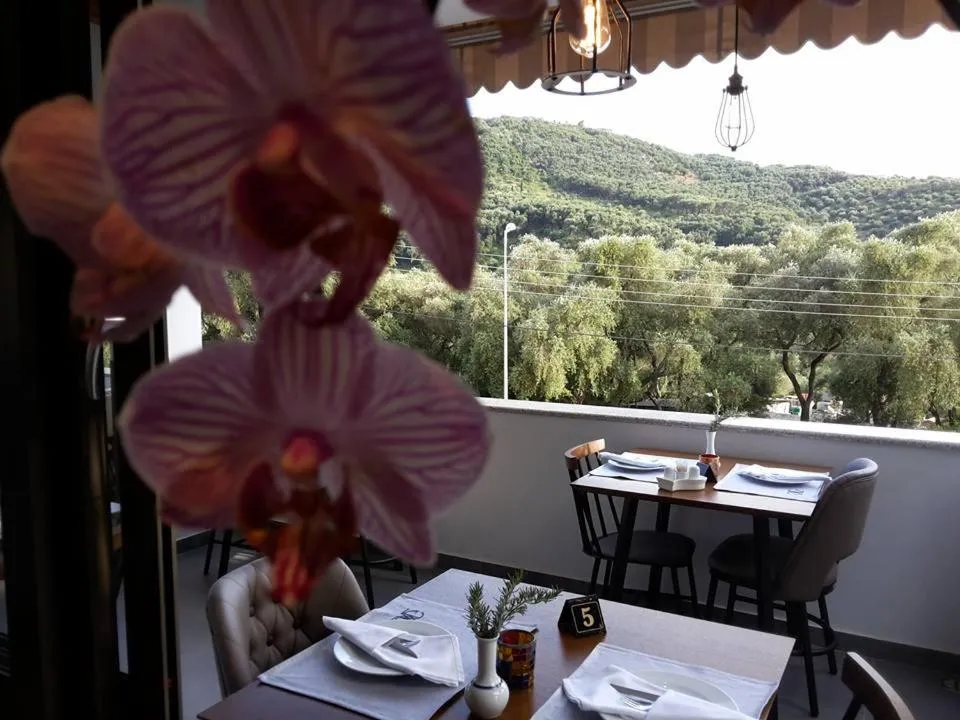 Food and drinks in Adams Hotel