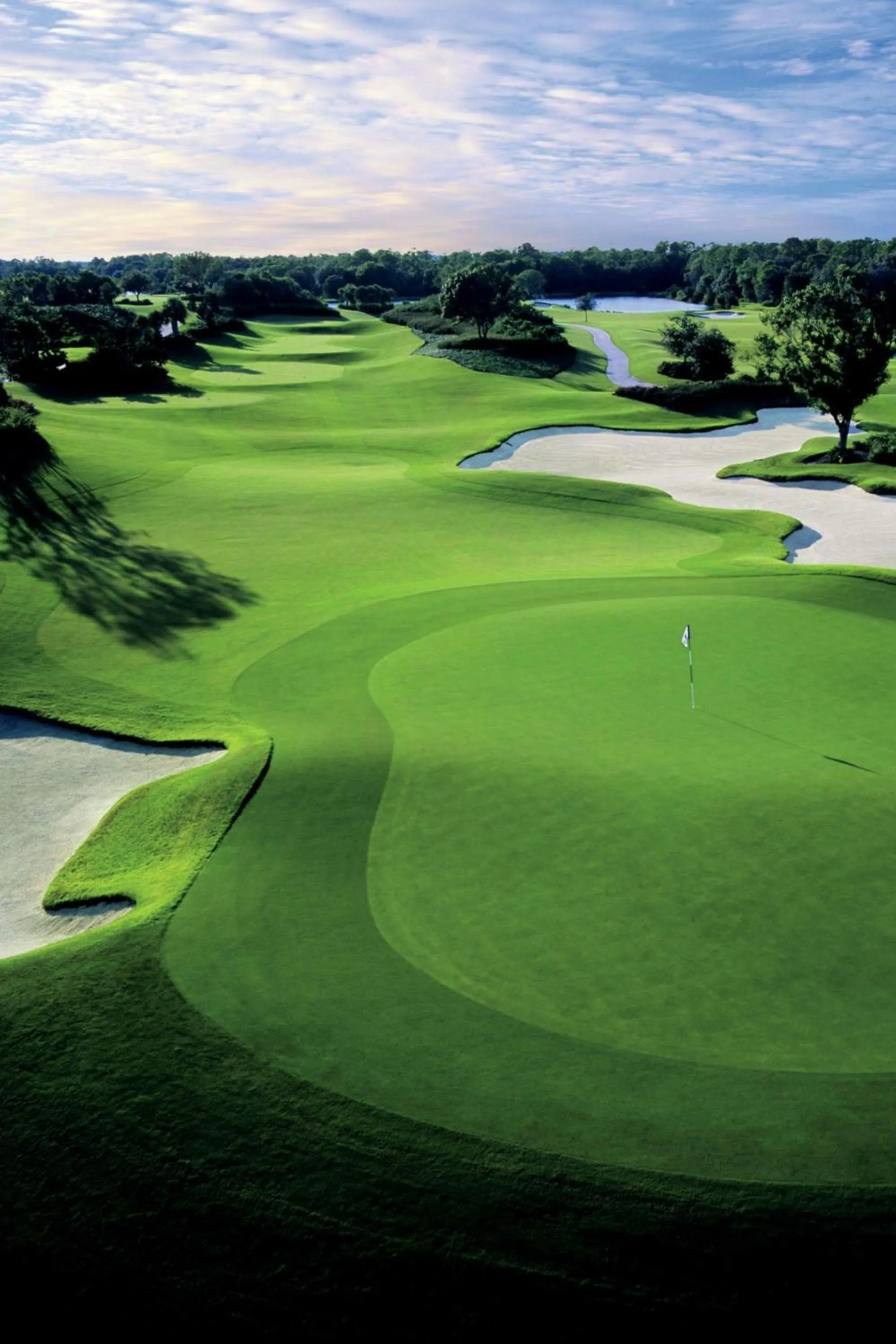 Other in The Ritz-Carlton, Sarasota