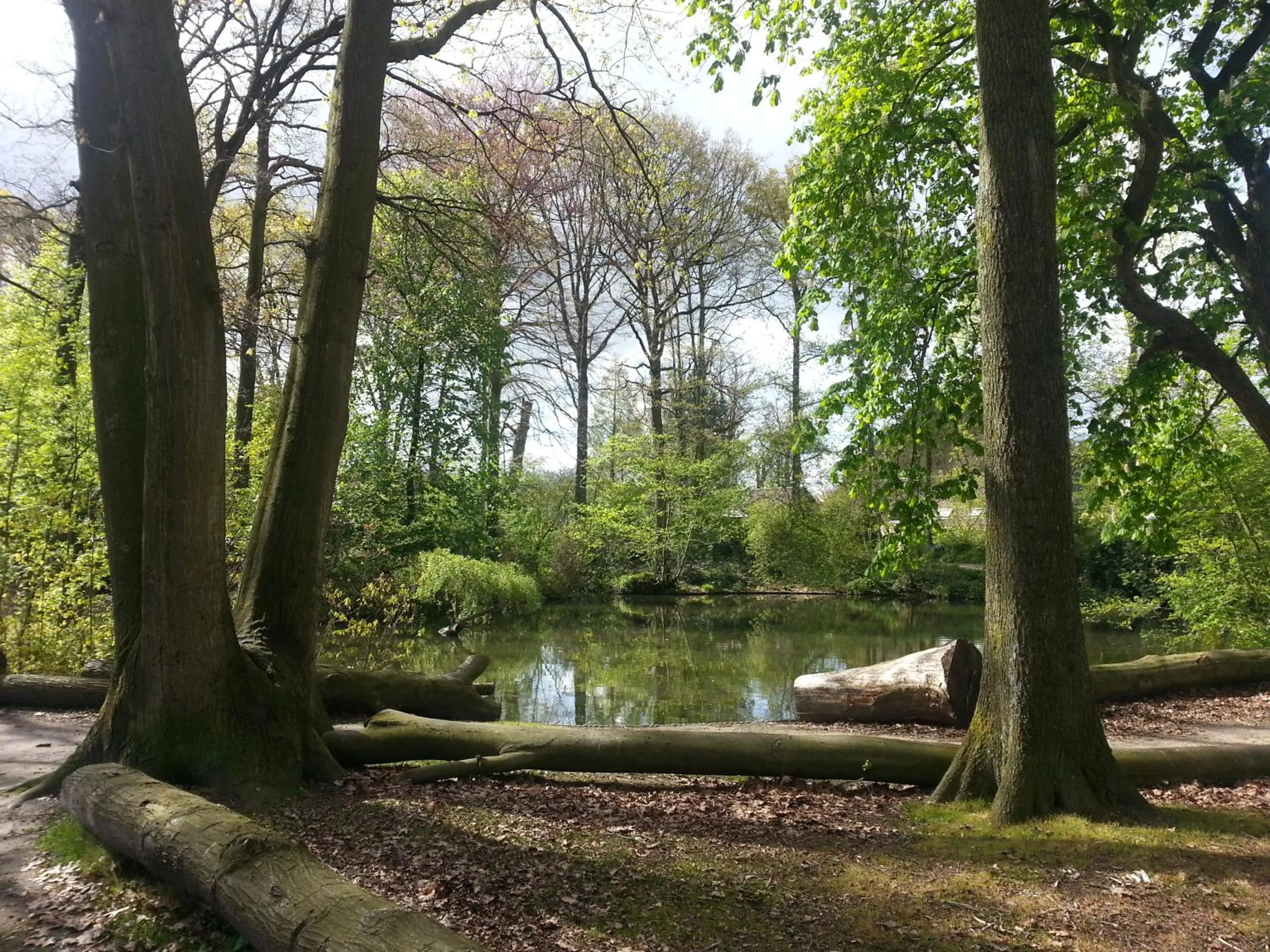 Natural landscape in B & B De Pimpelmees