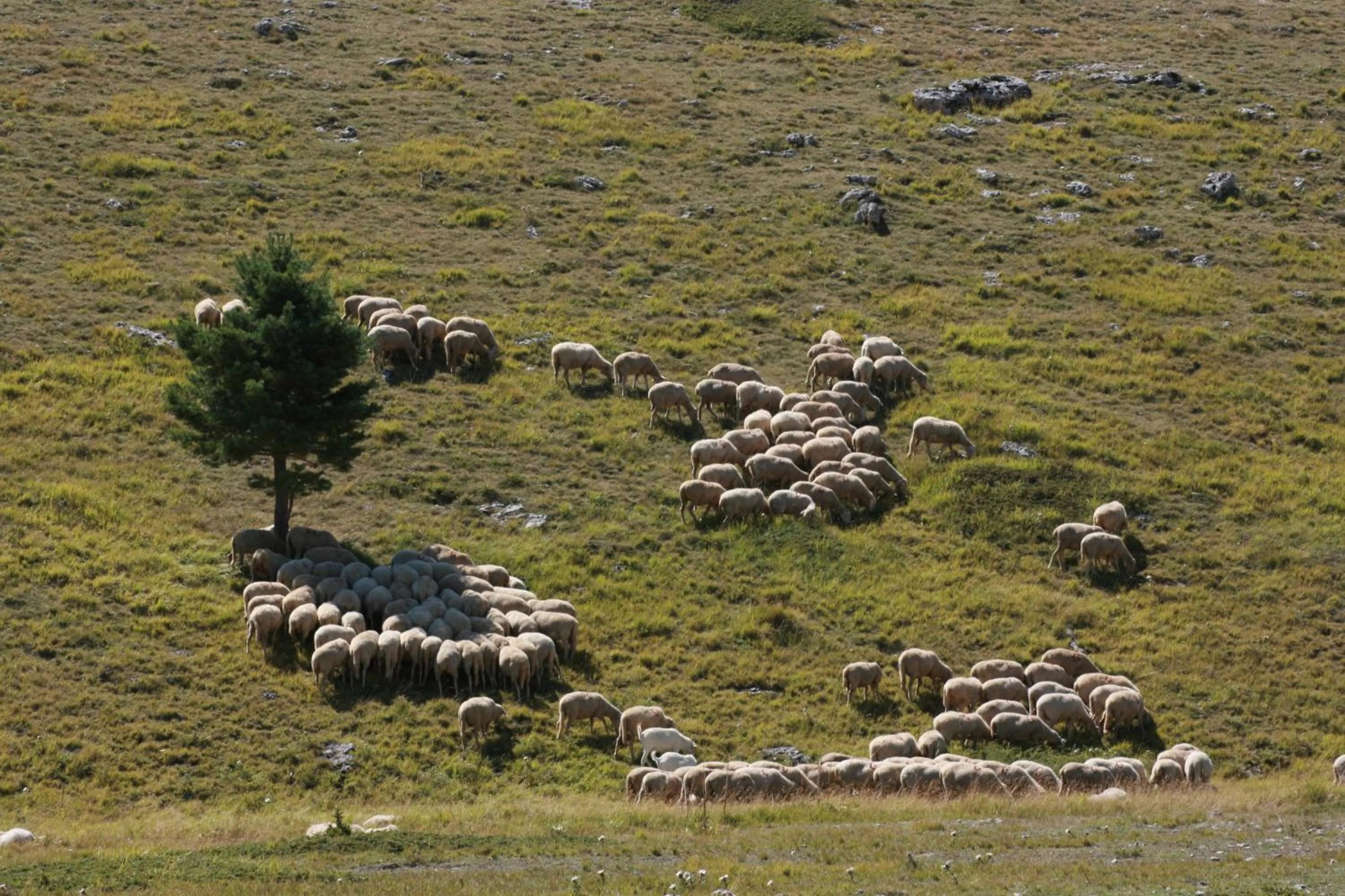 View (from property/room) in Residenza La Torre