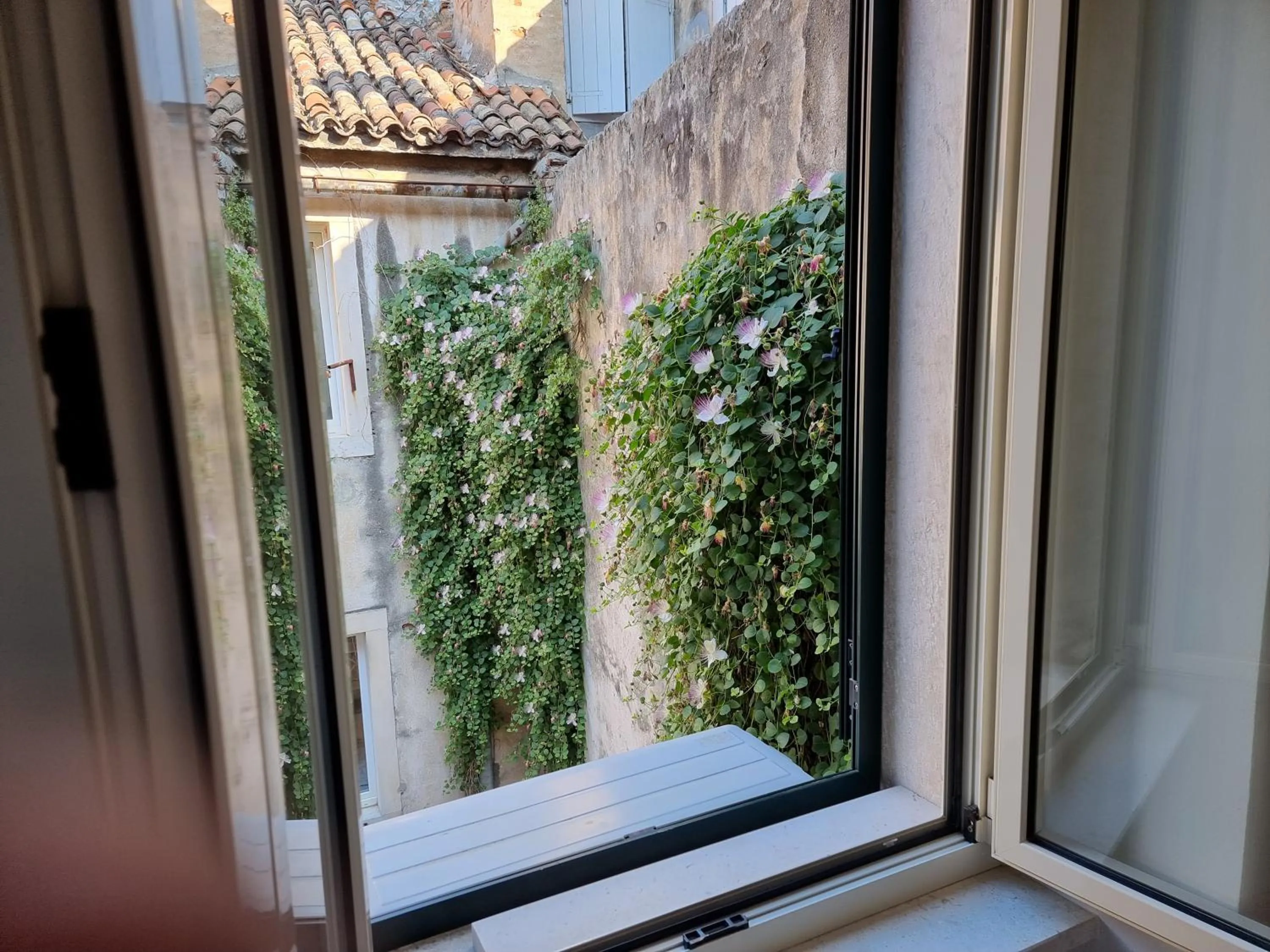 Garden view in Malena Palace Experience