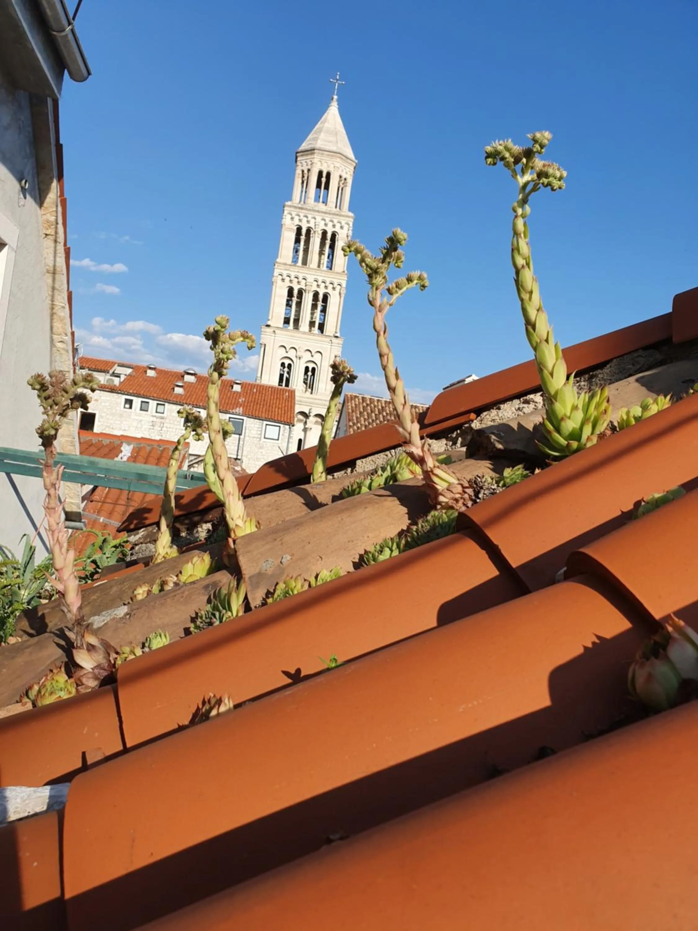 Property building in Malena Palace Experience