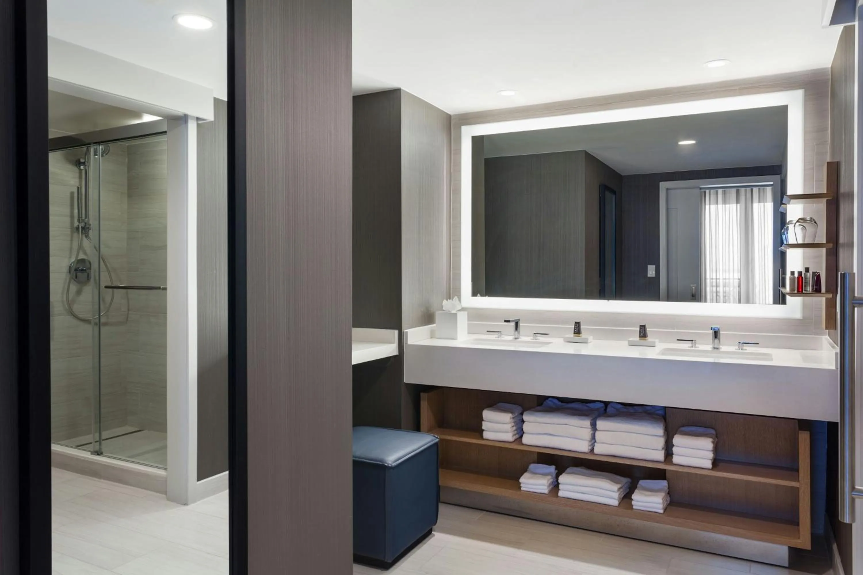 Bathroom in Tampa Marriott Water Street