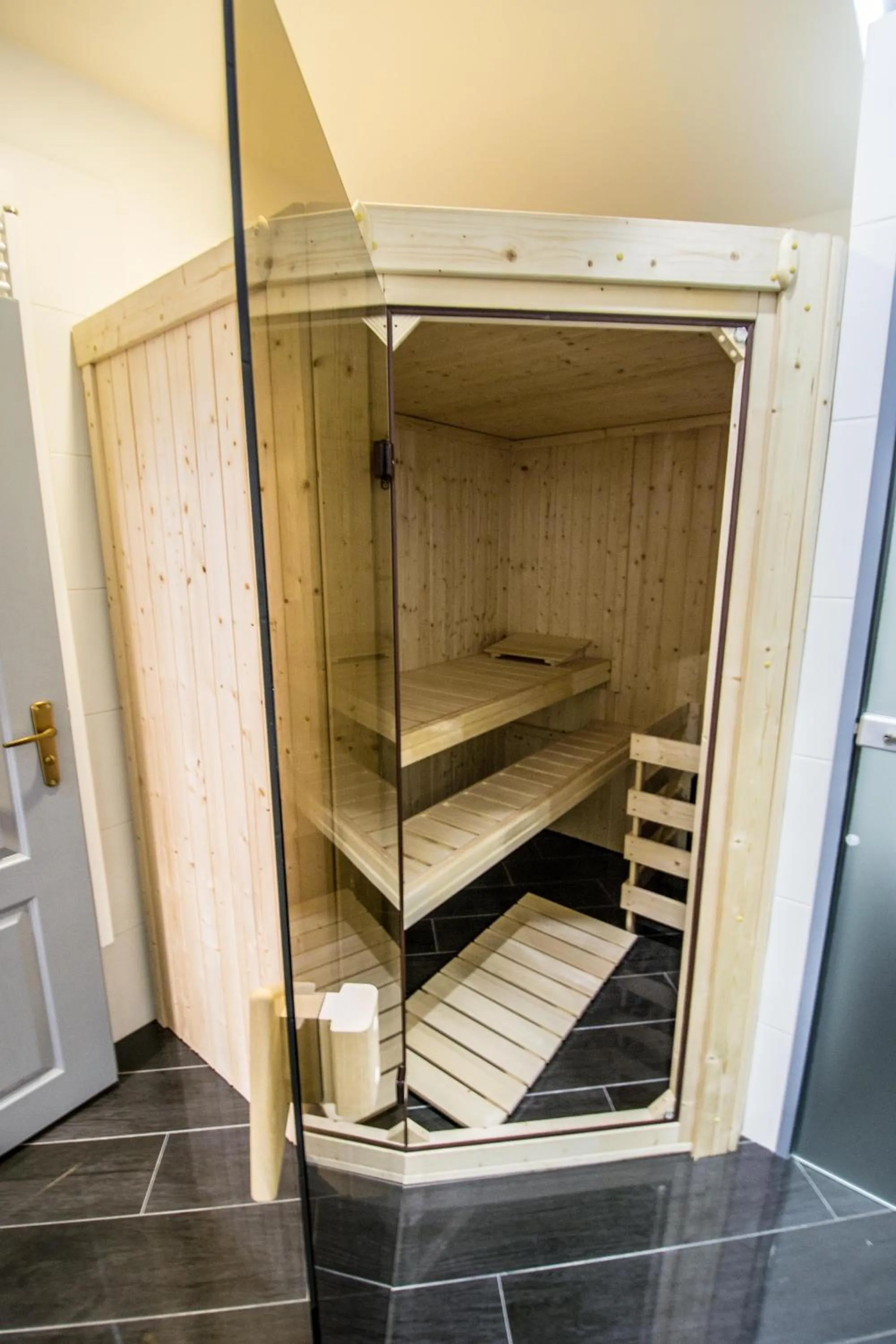 Brooklyn Sauna Apt by Ruterra