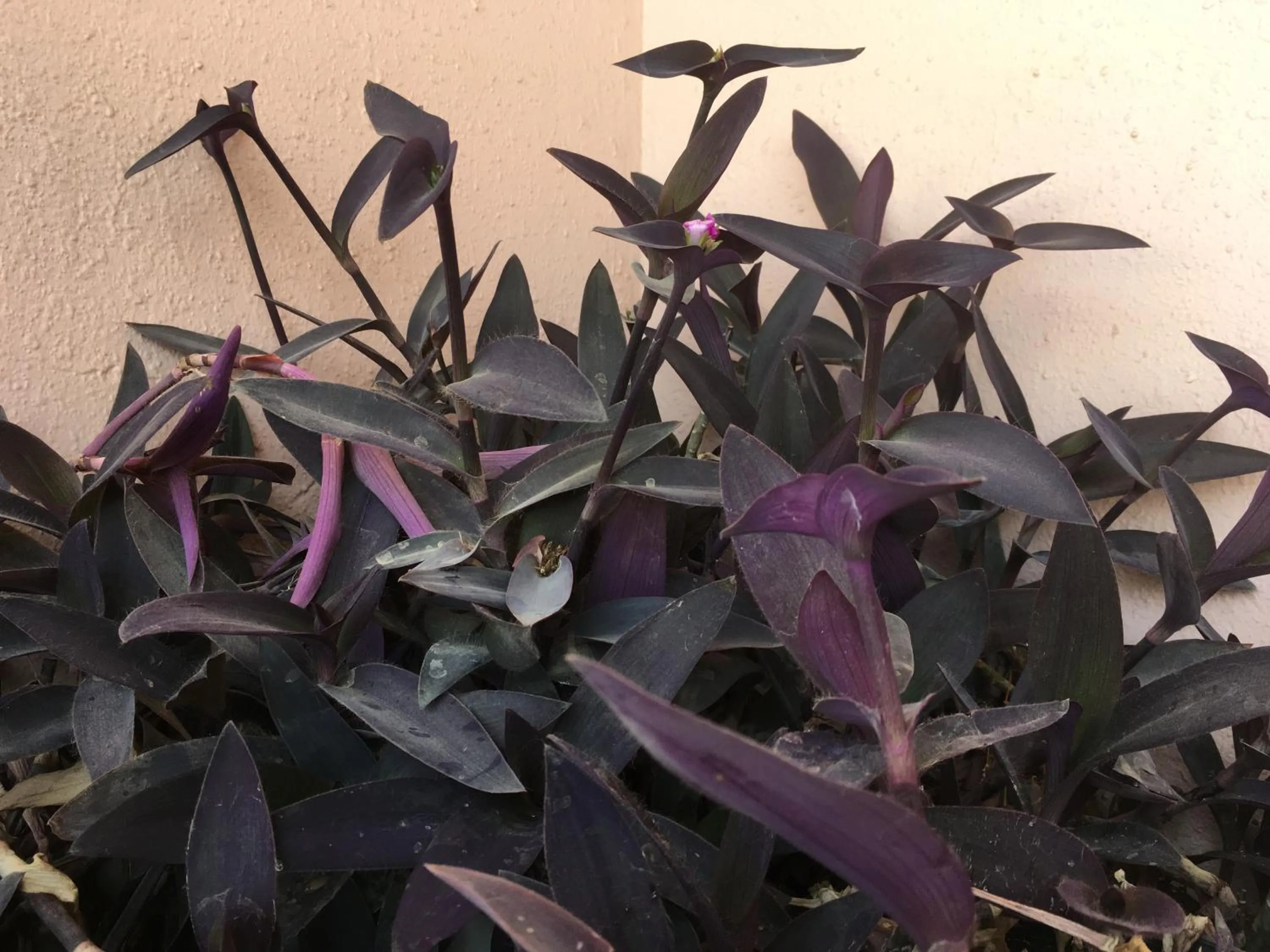 Balcony/Terrace in Two-Bedroom Apartment at Al Rehab