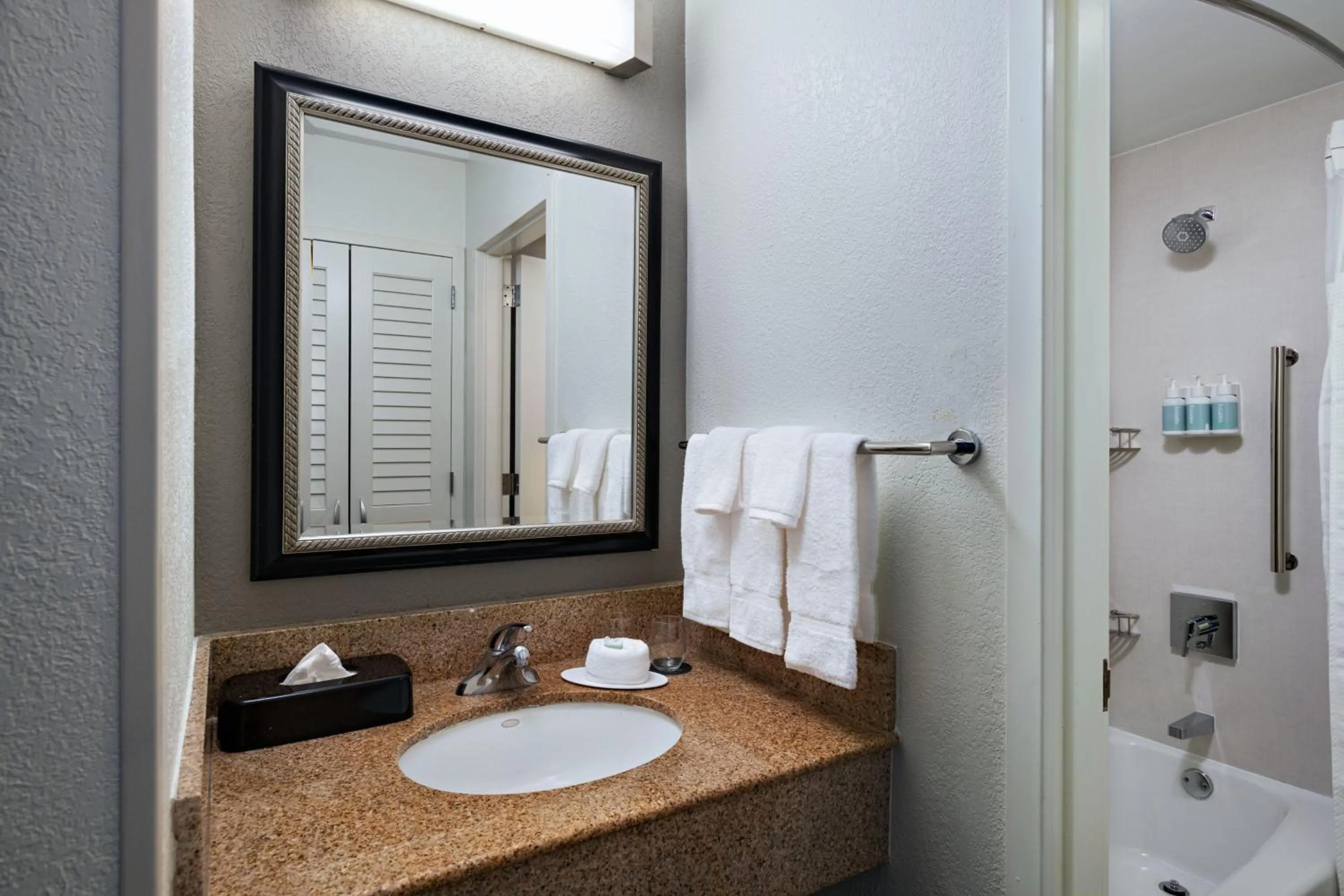 Bathroom in Courtyard by Marriott Dallas Arlington Entertainment District