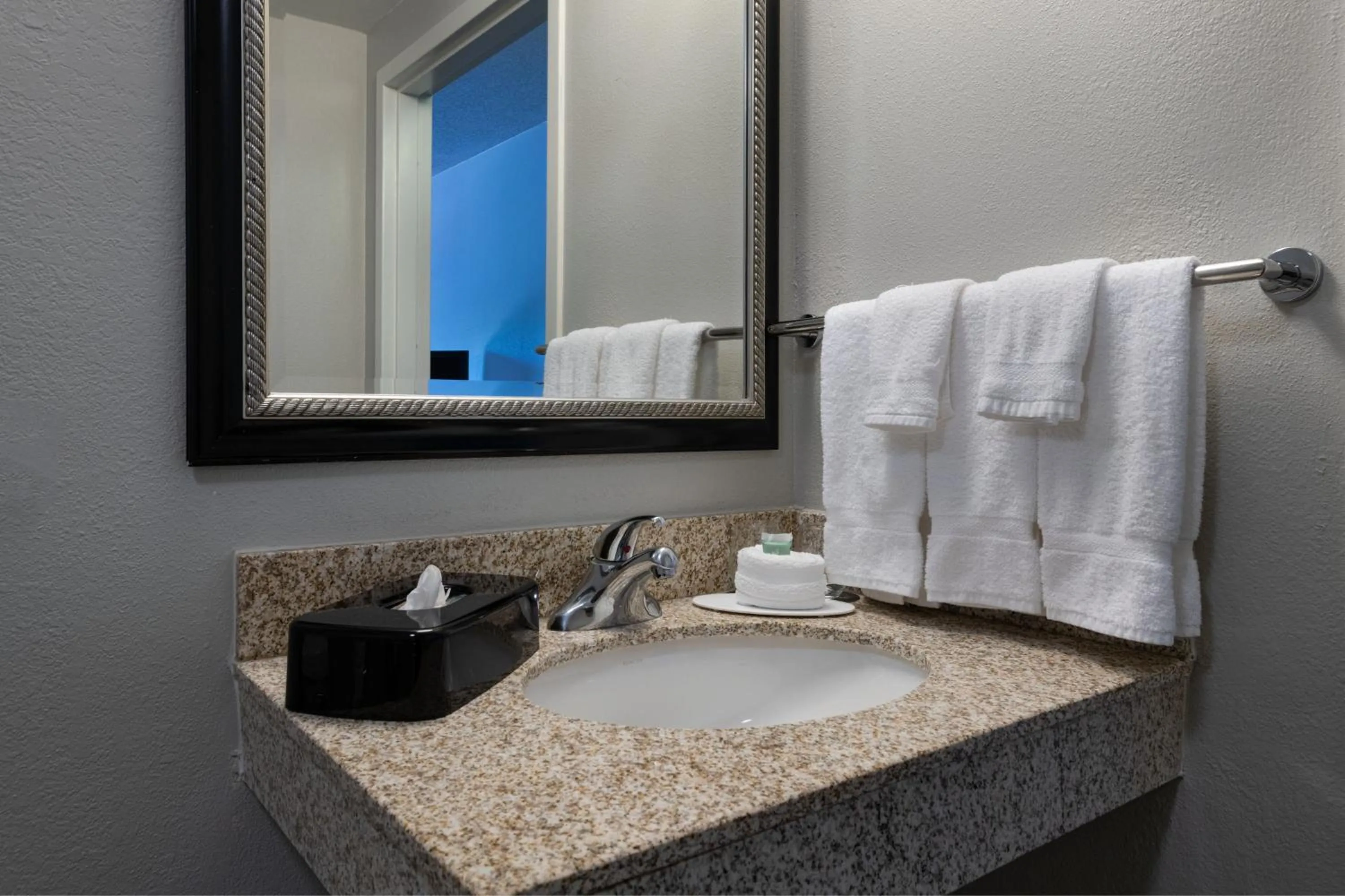 Bathroom in Courtyard by Marriott Dallas Arlington Entertainment District