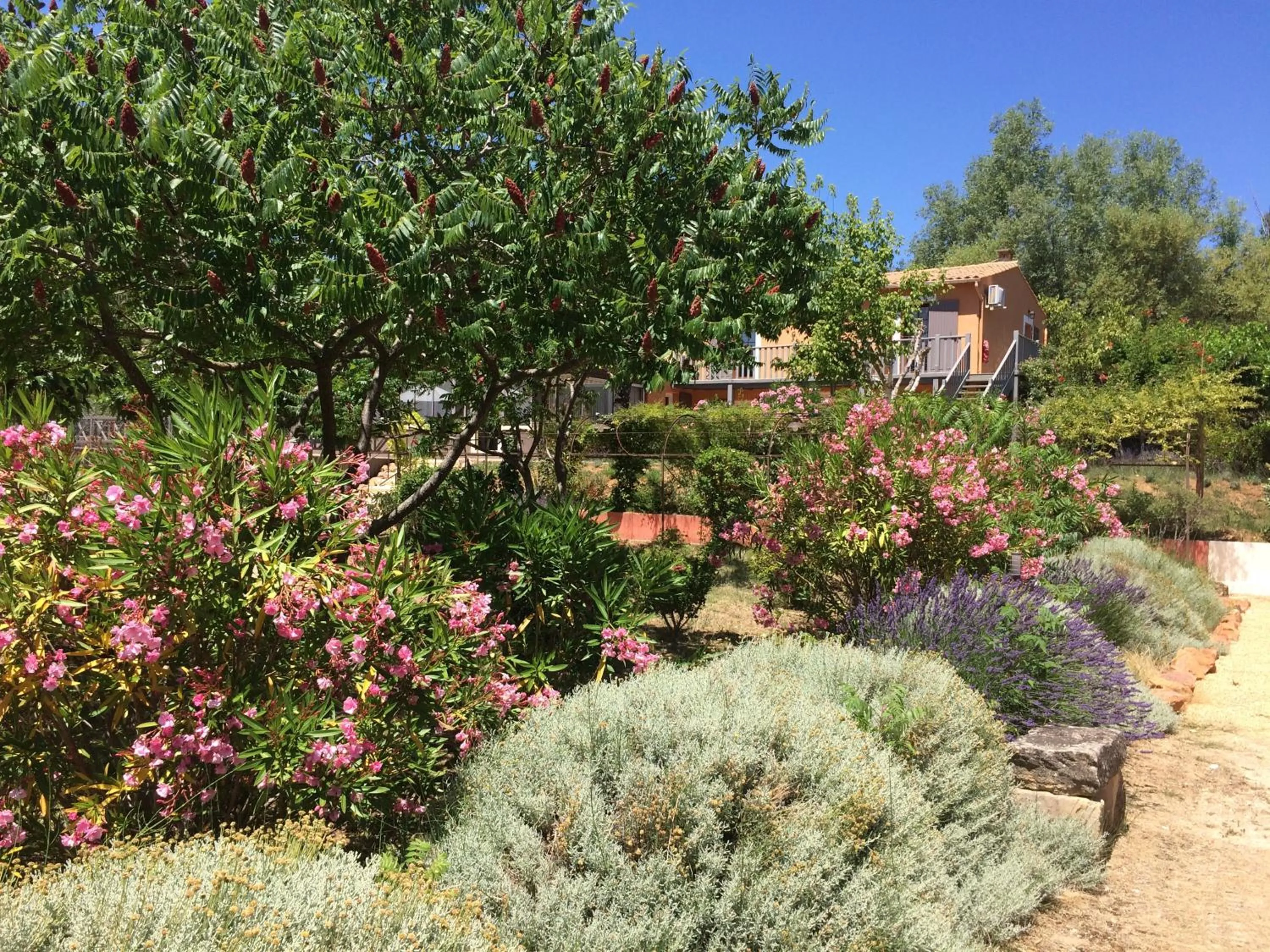 Garden in Hotel Les Ambres