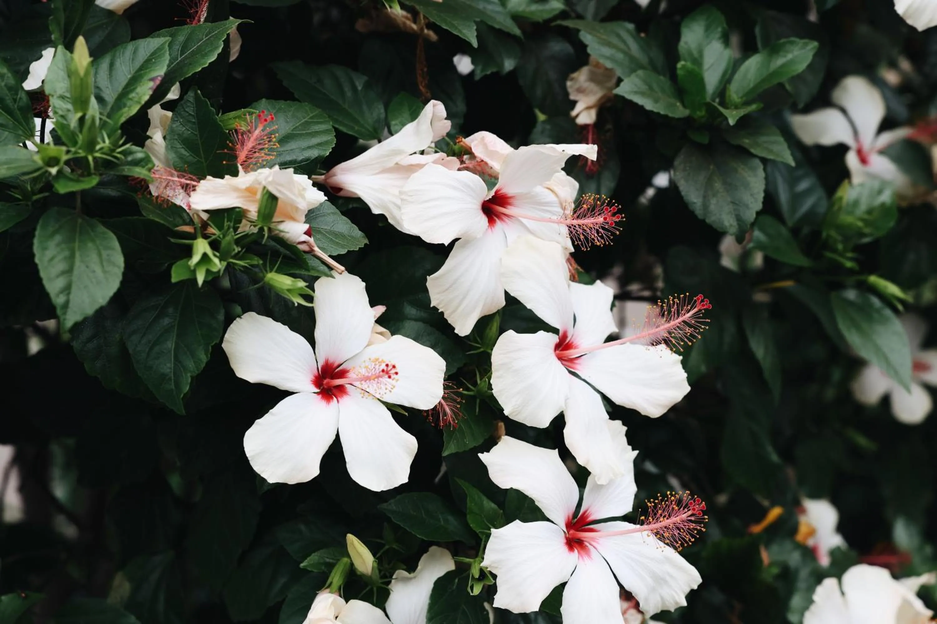 Other in Hotel Ash&9th