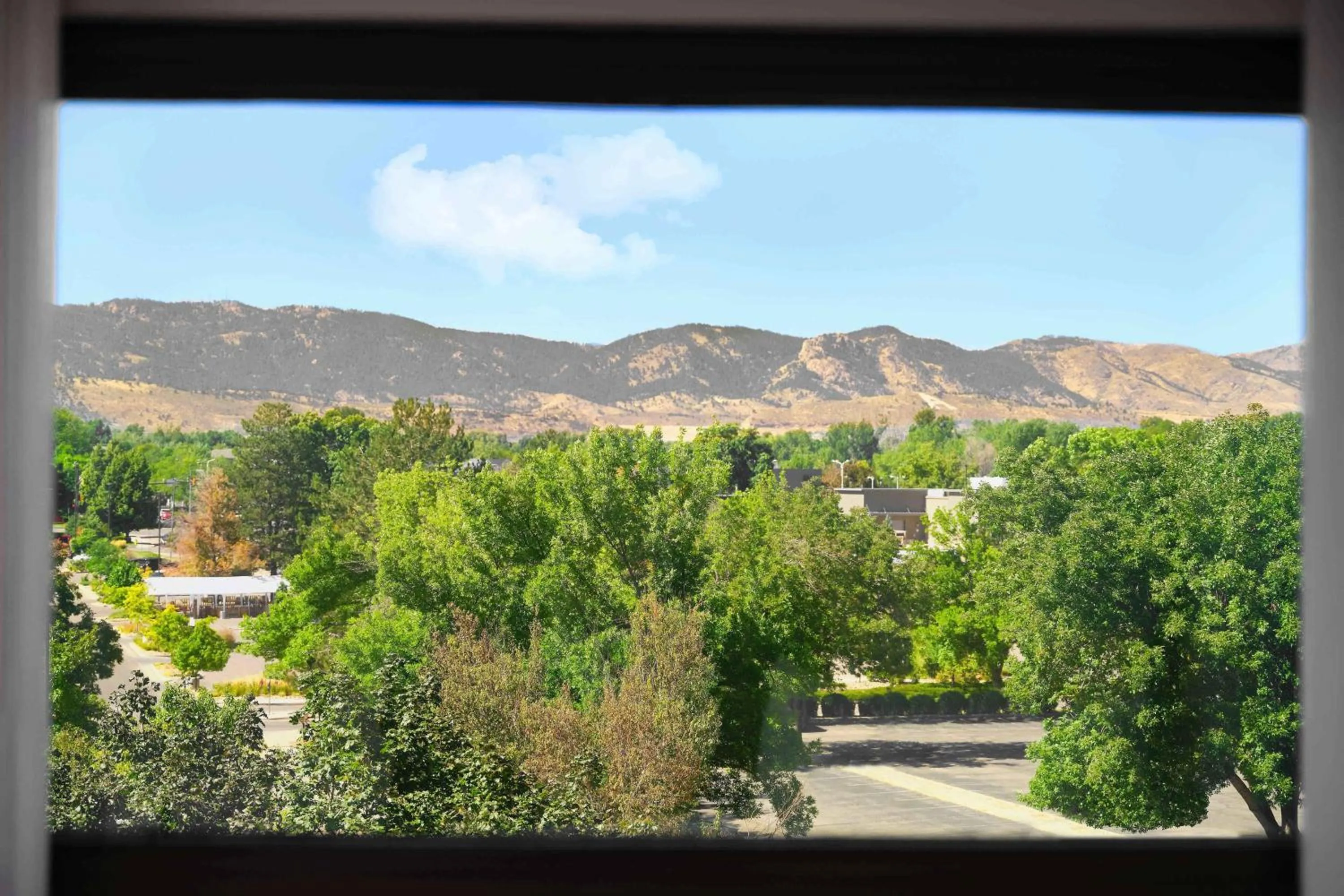 Photo of the whole room in Fort Collins Marriott