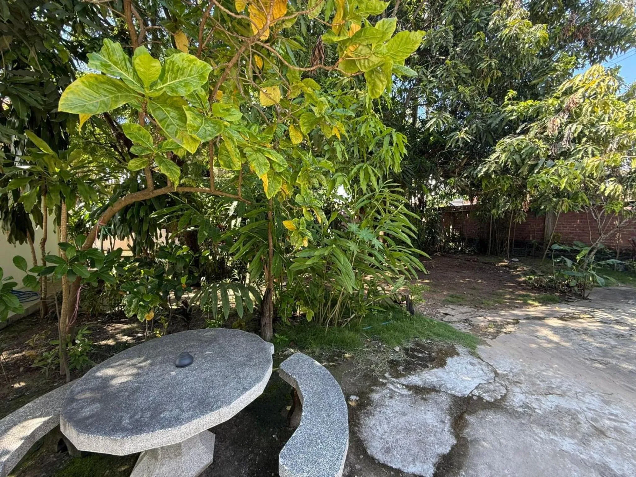 Garden in Vangsavath Hotel