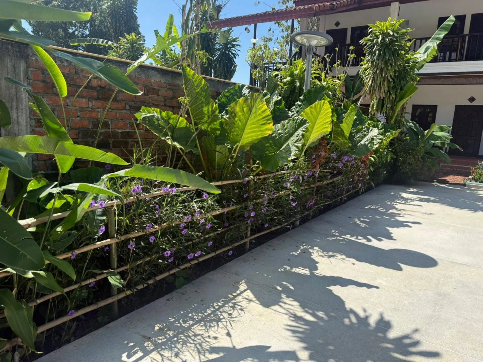 Garden in Vangsavath Hotel