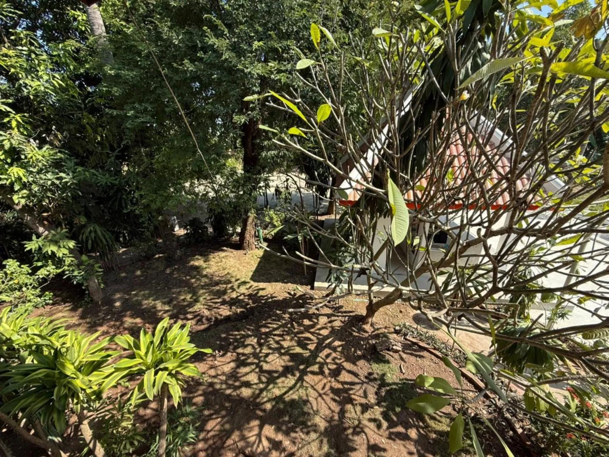 Natural landscape in Vangsavath Hotel