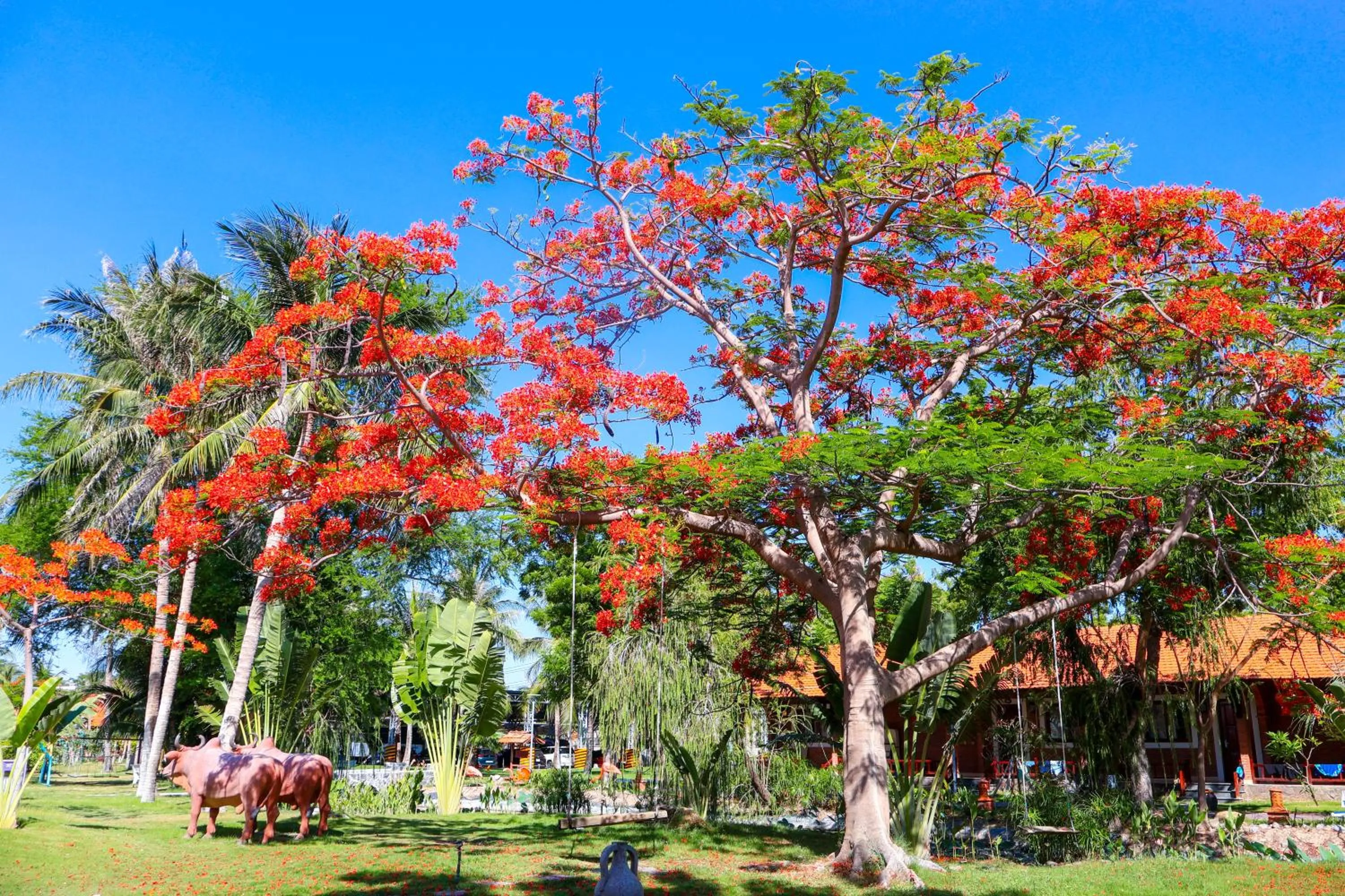 Garden in TTC Resort Ninh Thuan - Unlimited Access to Water Park