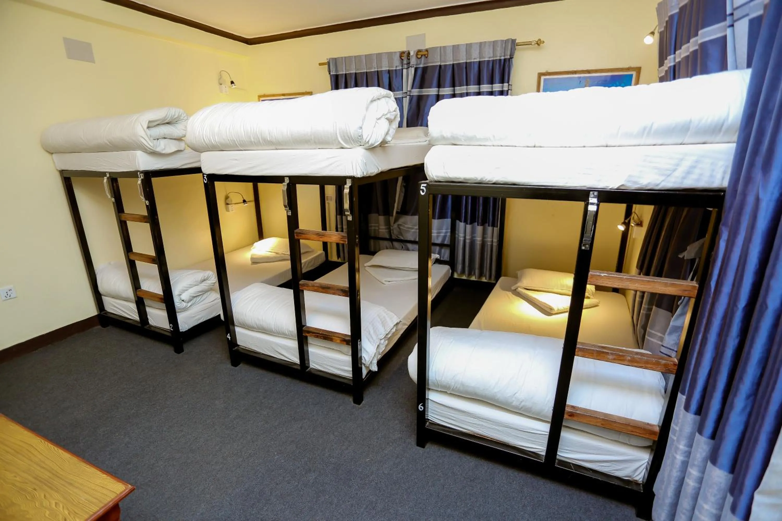 Bed in 6-Bed Mixed Dormitory Room in Pokhara Backpackers Hostel
