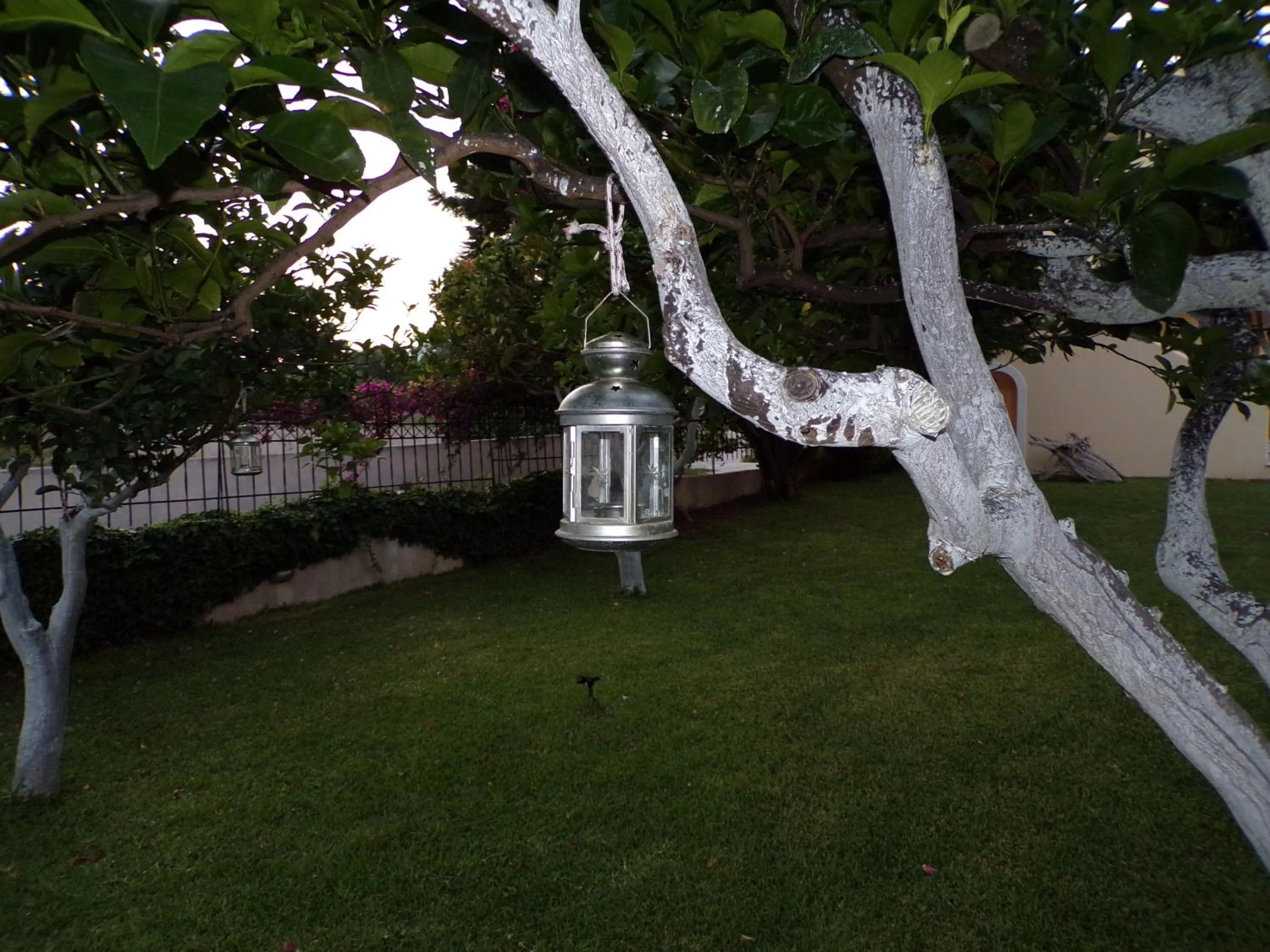 Garden in Le Due Sorelle