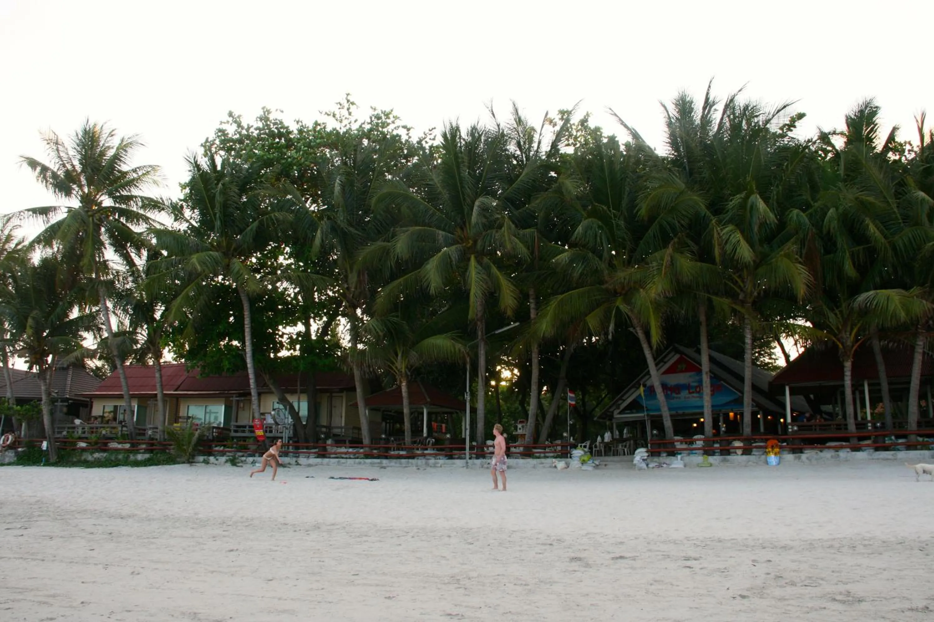 Beach in Palita Lodge - SHA Plus