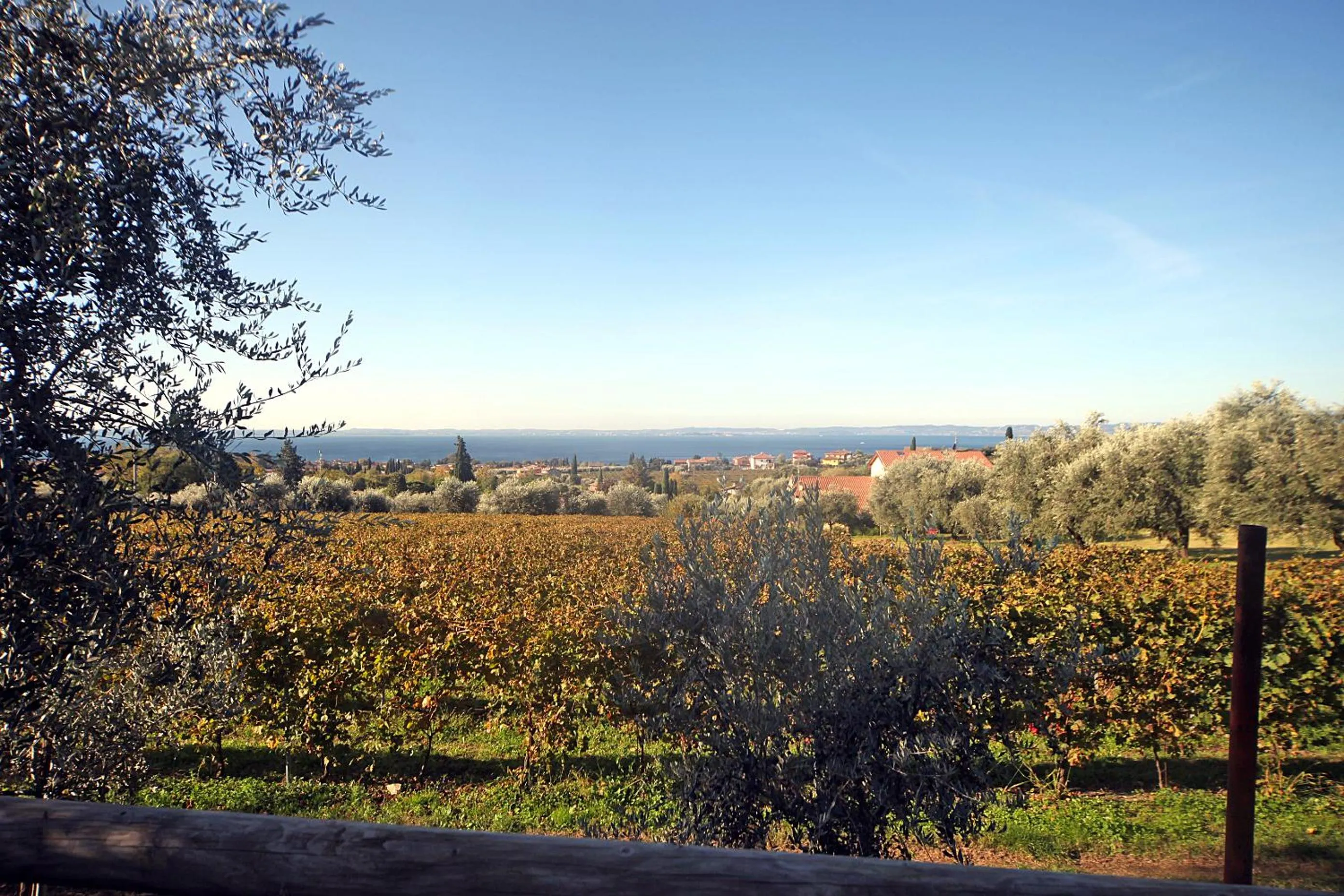 Bird's eye view in Appartamenti Bellavista