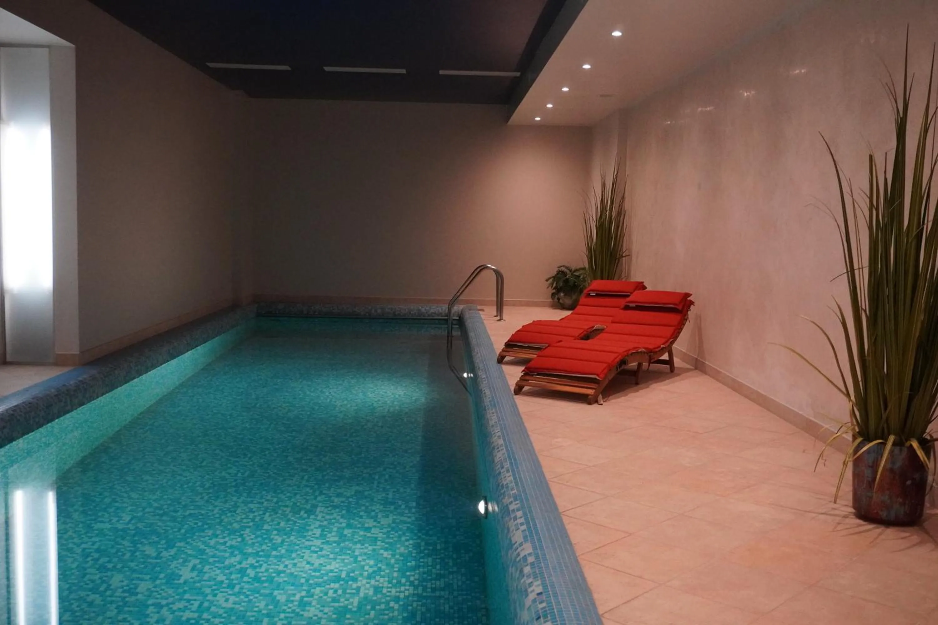 Swimming pool in VILNIUS PARK PLAZA HOTEL & SPA, Restaurant, Panorama Bar, Conference & Banquet Center