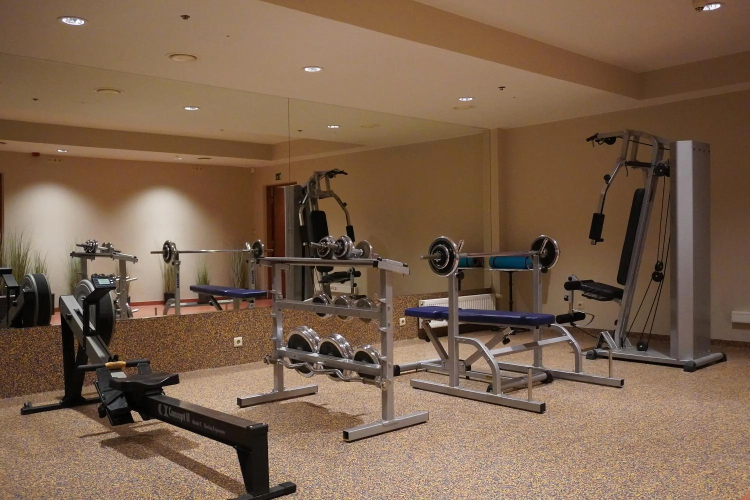 Fitness centre/facilities in VILNIUS PARK PLAZA HOTEL & SPA, Restaurant, Panorama Bar, Conference & Banquet Center